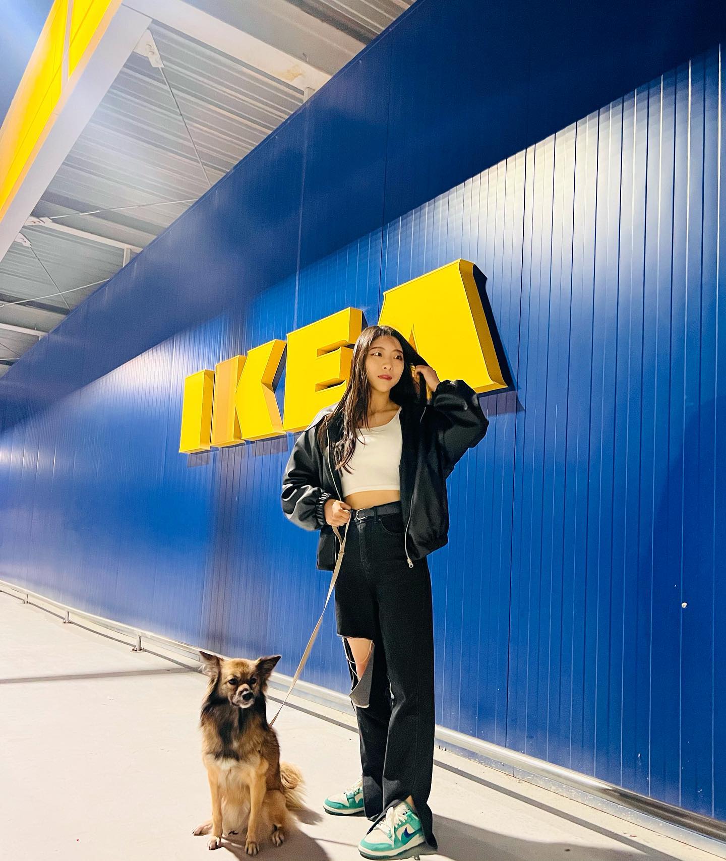 왔으면 찍어줘야지💛💙🐕
.
.
.

(얼굴&몸매 무보정 샷인건 안비밀..)

.
.
.
.
.
.
.
.
.
.
.
.
.
.
.
.
.
.
.
.
#이케아 #이케아기흥점 #IKEA #IKEA기흥점 #기흥 #기흥아울렛 #이케아로고 #패션 #이케아💙 #가구점 #이케아기흥 #모델 #선팔 #맞팔 #선팔하면맞팔 #좋아요반사 #일상 #데일리 #쇼핑 #쇼핑룩 #기흥나들이 #기흥놀곳 #💛💙 #98 #용인 #용인기흥 #용인가볼만한곳 #쇼핑패션 #기흥가볼만한곳 #나이키덩크
