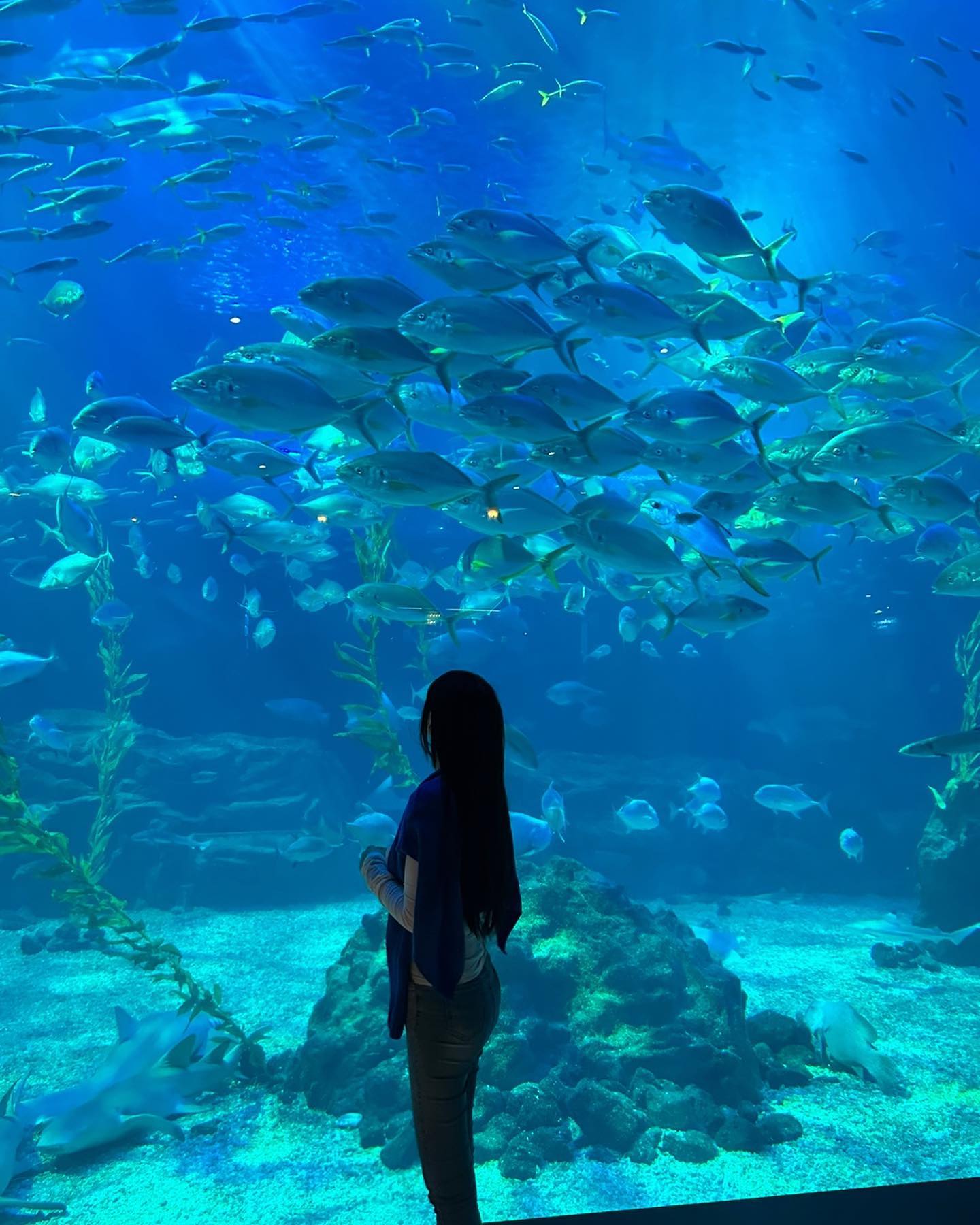 아쿠아리움 도장깨기 끝 🐋🦈
