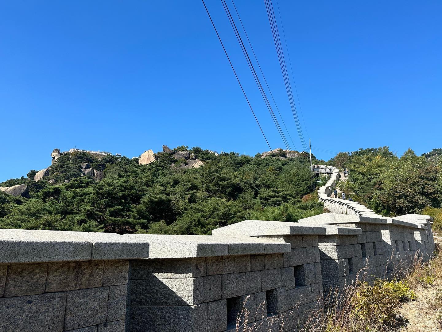 #첫줄 

두번째 인왕산 등산⛰ ️
좋은 사람들과 날씨 좋은 날ṑṑṑ
기분 좋게 올라서 그런지 몸도 마음도 
튼튼해진 날💪득근하고 #젠중식당 
들려서 짜장밥에 유산슬에 군만두 먹고
콜드브루로 마무으리🩵크 찢었다! 

#선팔하면맞팔가요 #하트 #flowers #인왕산 #경복궁 #나들이 #헬스동아리