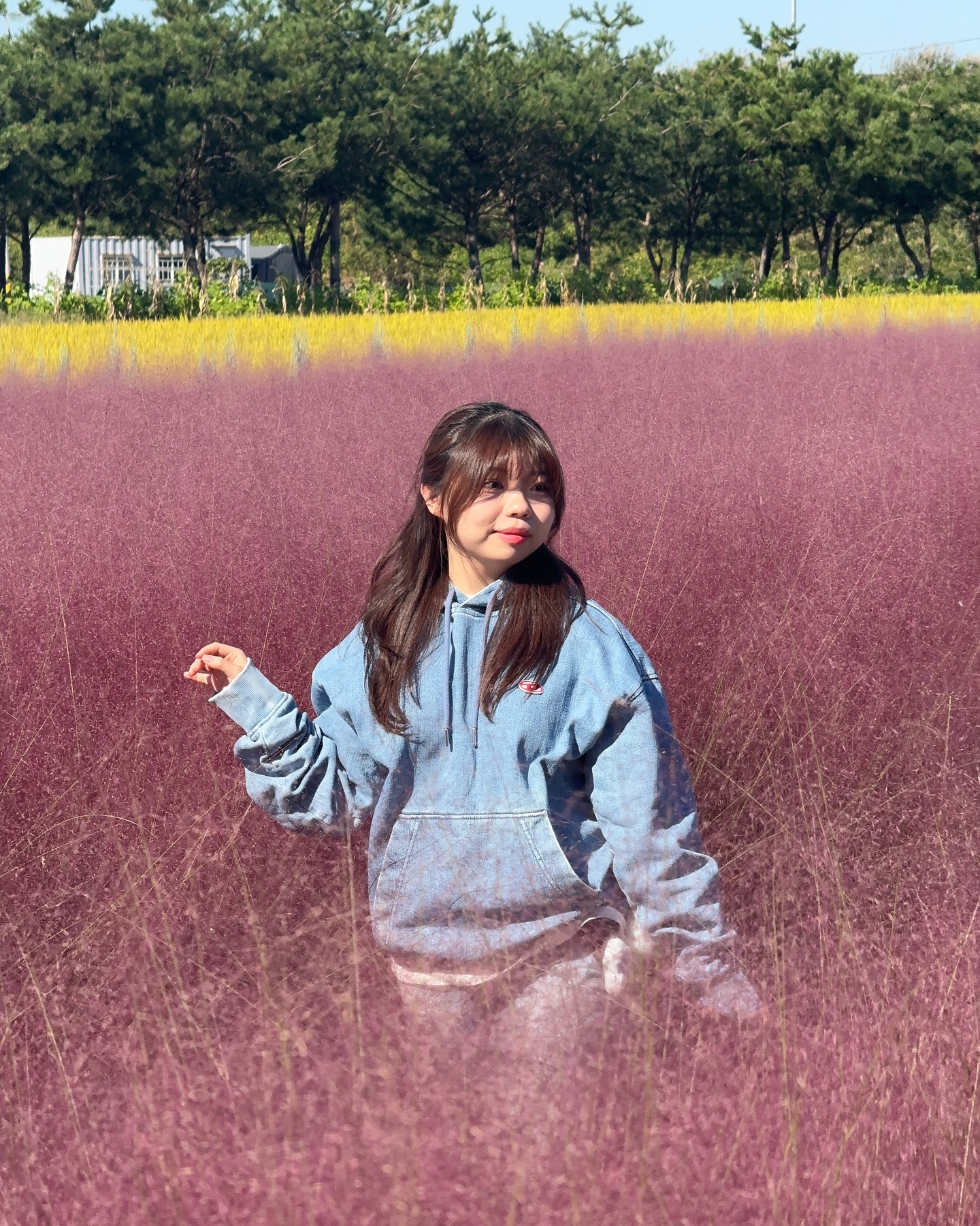 출근 전 핑크뮬리를 볼 수 있다는건 큰 행운일지도🌸