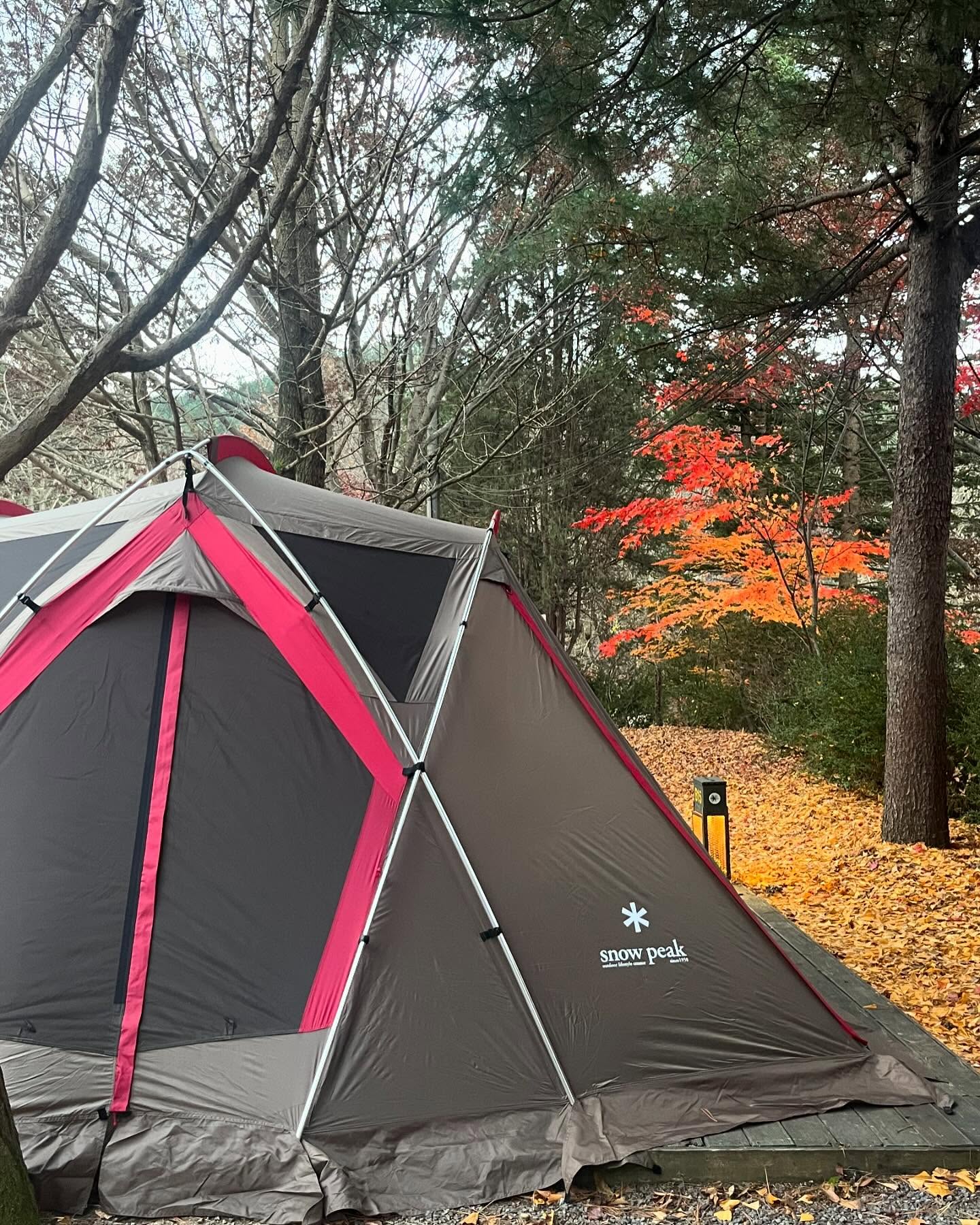 #스노우피크 #스노우피크리빙쉘r 
#캠프운악 왔어요🏕️💕