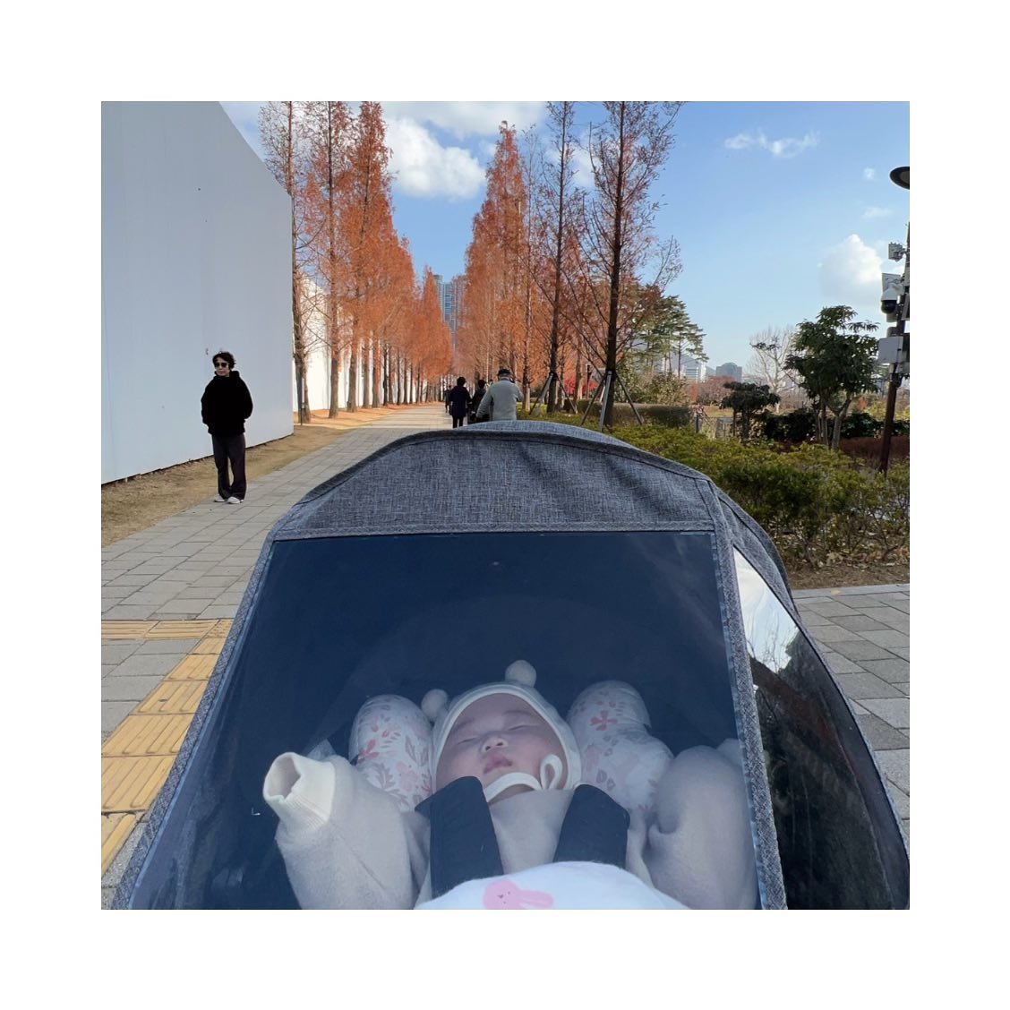 얼마전에 다온이랑 산책갔다가 시장갔는데
어떤 할모니가 
👵🏻 아가씬교?
라고 물으시길래 
👩🏻 아직 안죽었규나...💛
라고 생각했는데 알고보니 
따오니 성별을 물어보신거...🤦🏻‍♀️

어휴 김장철이라 그런지
김칫국 시원하게 드링킹 했네여 😂

#쪽팔림은내몫
#그래도살짝설렜어난