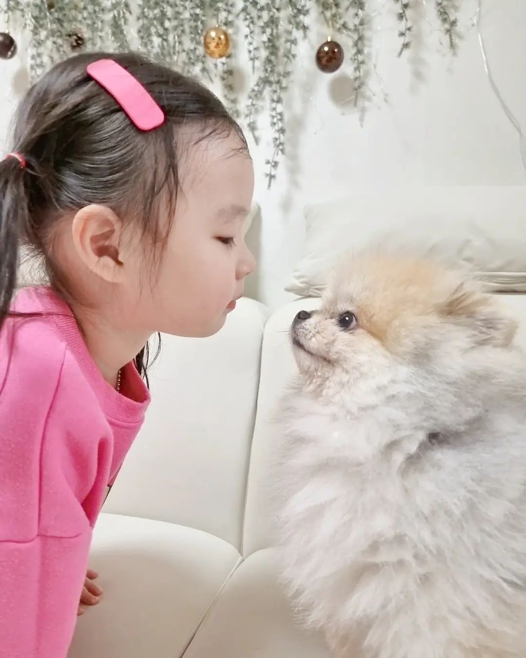 #daily_나희 

23.12.10
울애기 주말 ᦂ

건빵이 놀러와서
건빵이랑 주말 보내기 
너무 좋아죽는데
이젠 보내줘야해 🥹 

일요일은 엄마랑 영화관 데이트 יִיִ
[우당탕탕 은하안전단 : 진정한 용기]

다음엔 무슨 영화 볼까나 🫶

#40개월 #아기랑강아지 #투샷
#엄마랑데이트 #영화관데이트 #롯데시네마
#아기랑영화관 #7번째영화
#은하안전단 #진정한용기