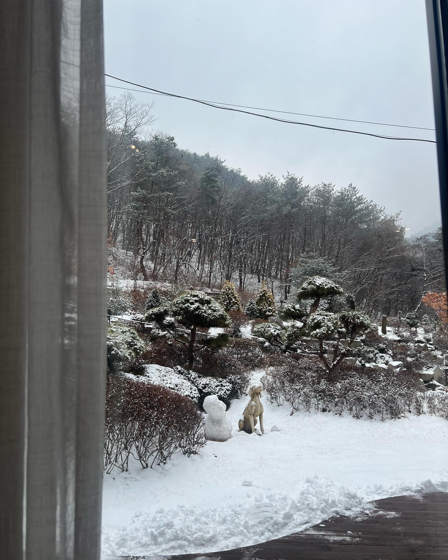 콘텐츠