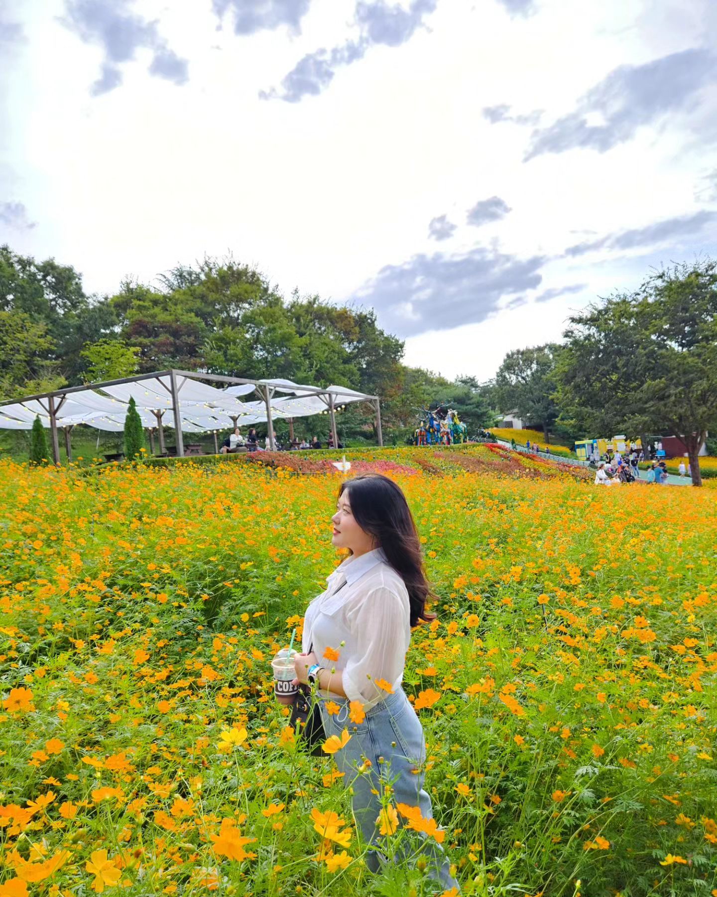 가을 꽃 시작🌼🌼

#대구 #이월드 #황화코스모스  #🌼 #코스모스