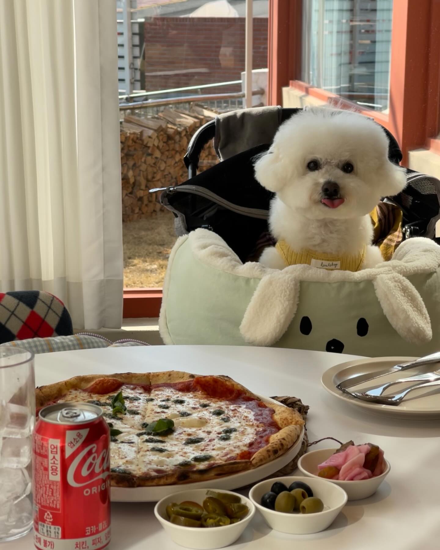찾았다👀 화덕피자 맛집🍕
치킨과 피자 중 고르라면 🐣치킨이지만
도우까지 맛있게 먹을 수 있는 화덕피자는 좋아욧
루아앤티그리는 넓은 주차장을 보유하고 있고
피자동과 카페동이 분리되어 있는 초초초 대형이에요🫶🏻
주차하자마자 장작 타는 냄새가 은은하게 나서
피자 맛이 더 기대됐는데 역시나 말해뭐해🫢 짱맛✨
청사포 바다를 배경으로 해변열차가 지나가는 예쁜 뷰를 보며
여러 베이커리와 카페도 즐겨보세요♥️
