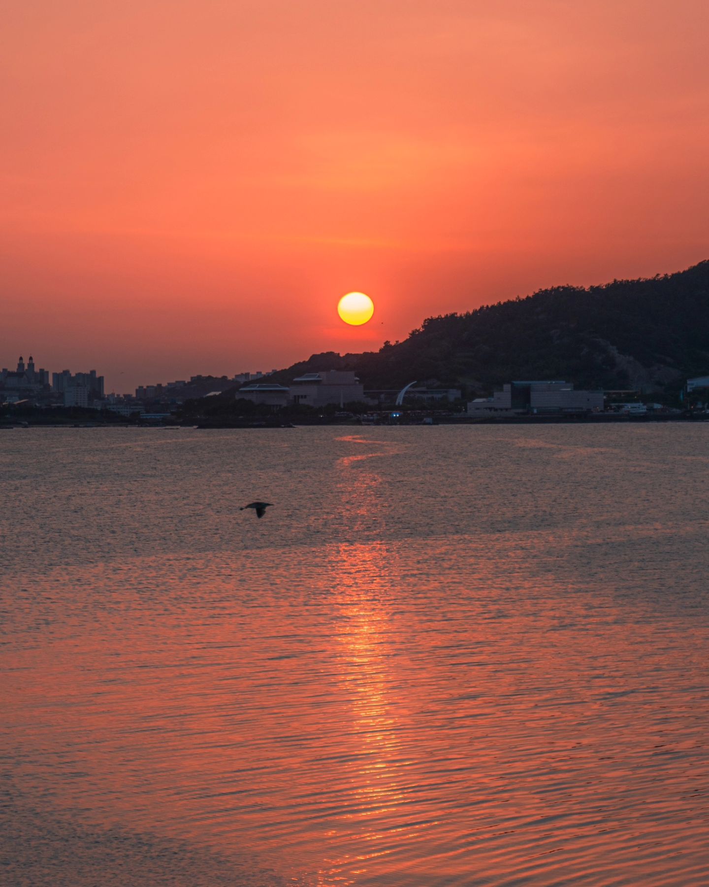 불꽃놀이보러 갔다가 일몰까지 보고왔네 1+1 

#sunset #일몰 #풍경사진 #선셋 #감성사진 #사진소통 #스냅사진 #a7c2