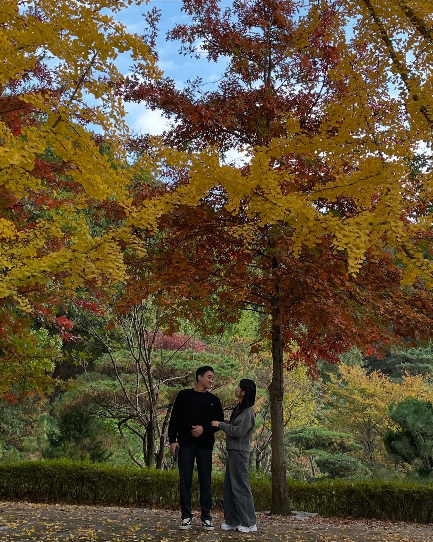 🍁🍂🪵🌾