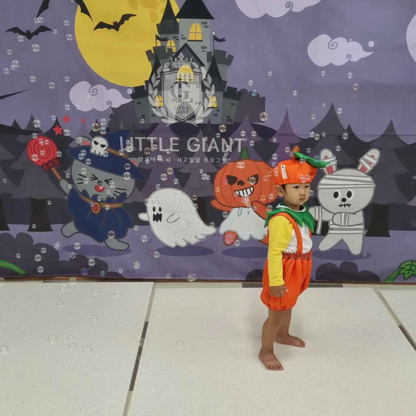 #리틀자이언트#문화센터실#홍농#정주희선생님 

리틀자이언트 가을학기 *.*
LITTLE GIANT 
영유아두뇌 사고발달 프로그램 
매번 갈때마다 감동을 주는 문센이예요 +_+
교구들도 깨끗하고 아이가 선생님도 좋아하고 잘따르더라구요^^
코스튬도 자체제작이라 하나뿐인거 같고 유니폼도 있어서 옷걱정도 안하게 되는듯 해요 >.<