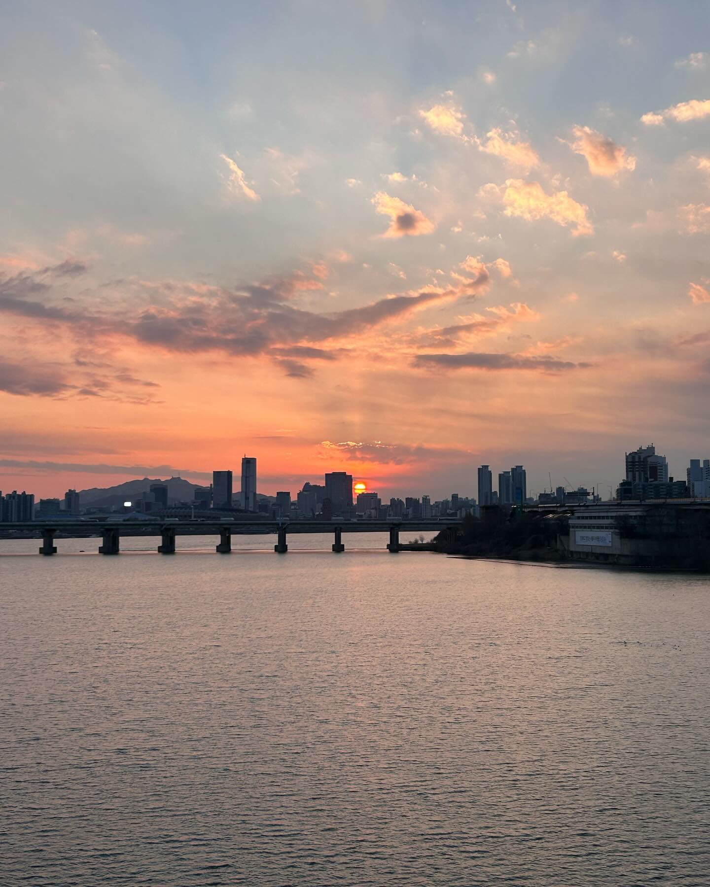 DAILY BLOG IN JANUARY _ 1