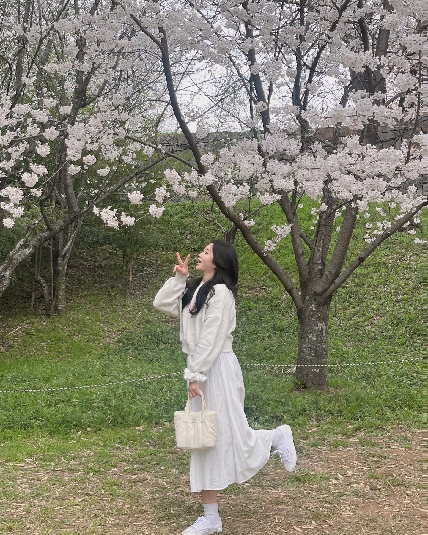 주말 내내 벚꽃놀이 다녀와서 넘 행복행 🩷🩷