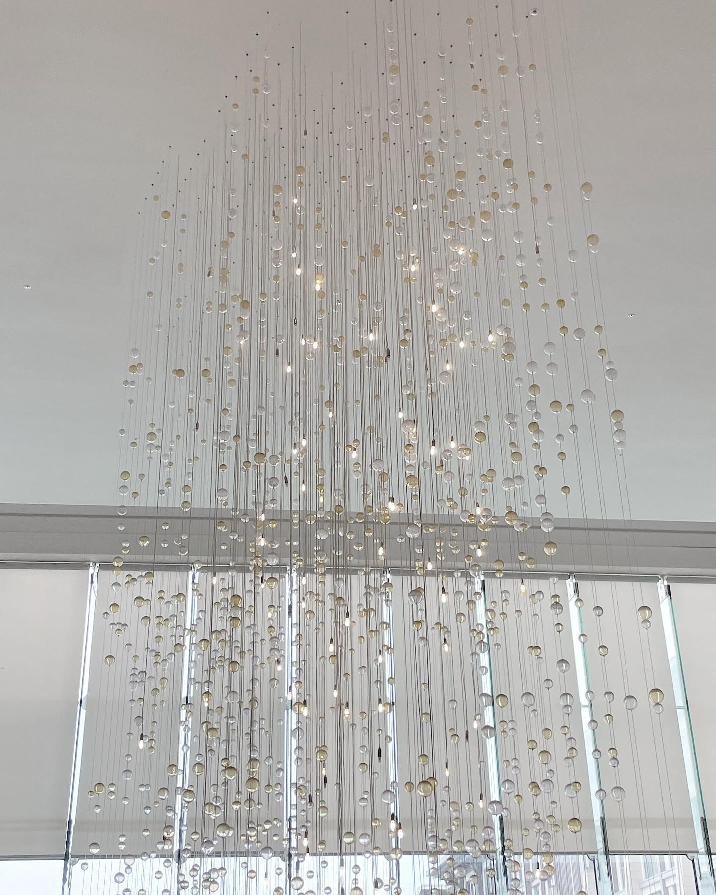 ✨