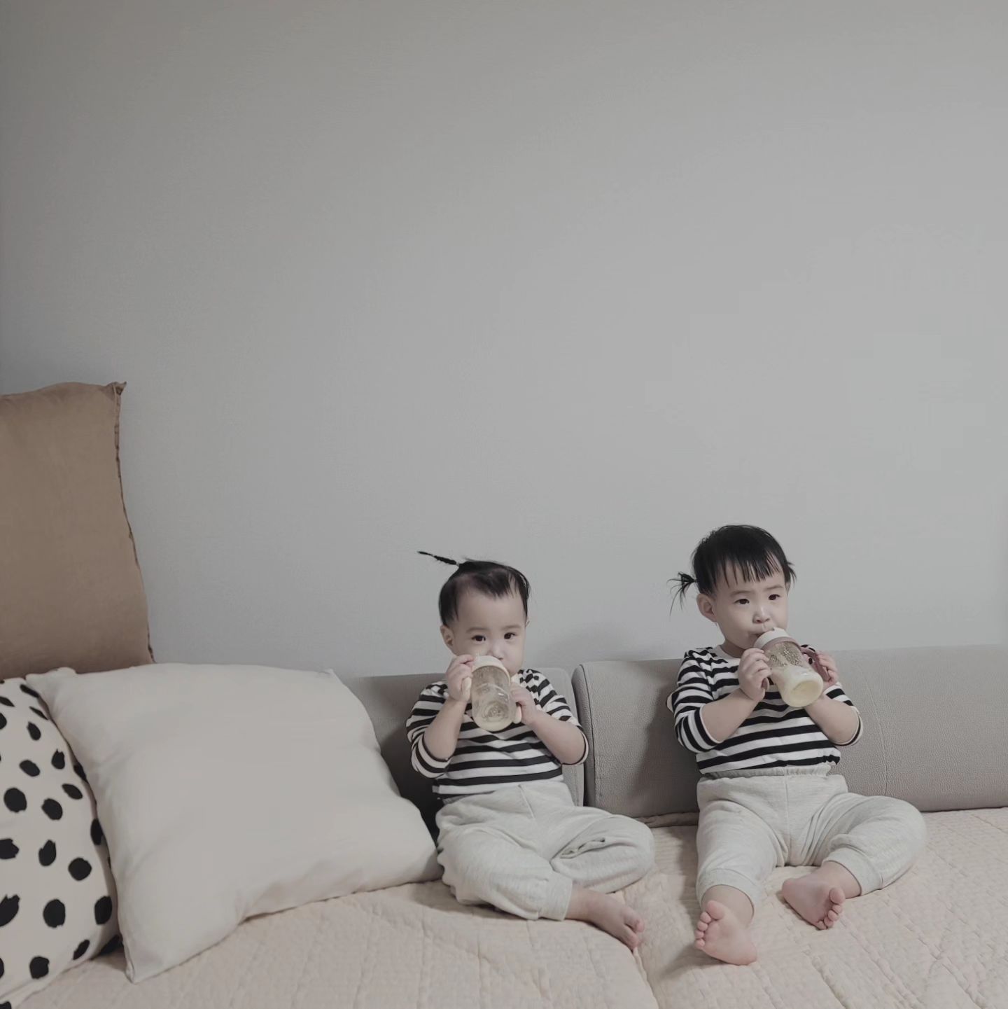 우유마실때만 보여주는 유튭🖥
그나저나 오늘따라 둘다 통통이같노🤭

#파스퇴르후레쉬#우유#냠냠
#유튜브#알파블럭스
#아기#단가라티셔츠#빠삐용st