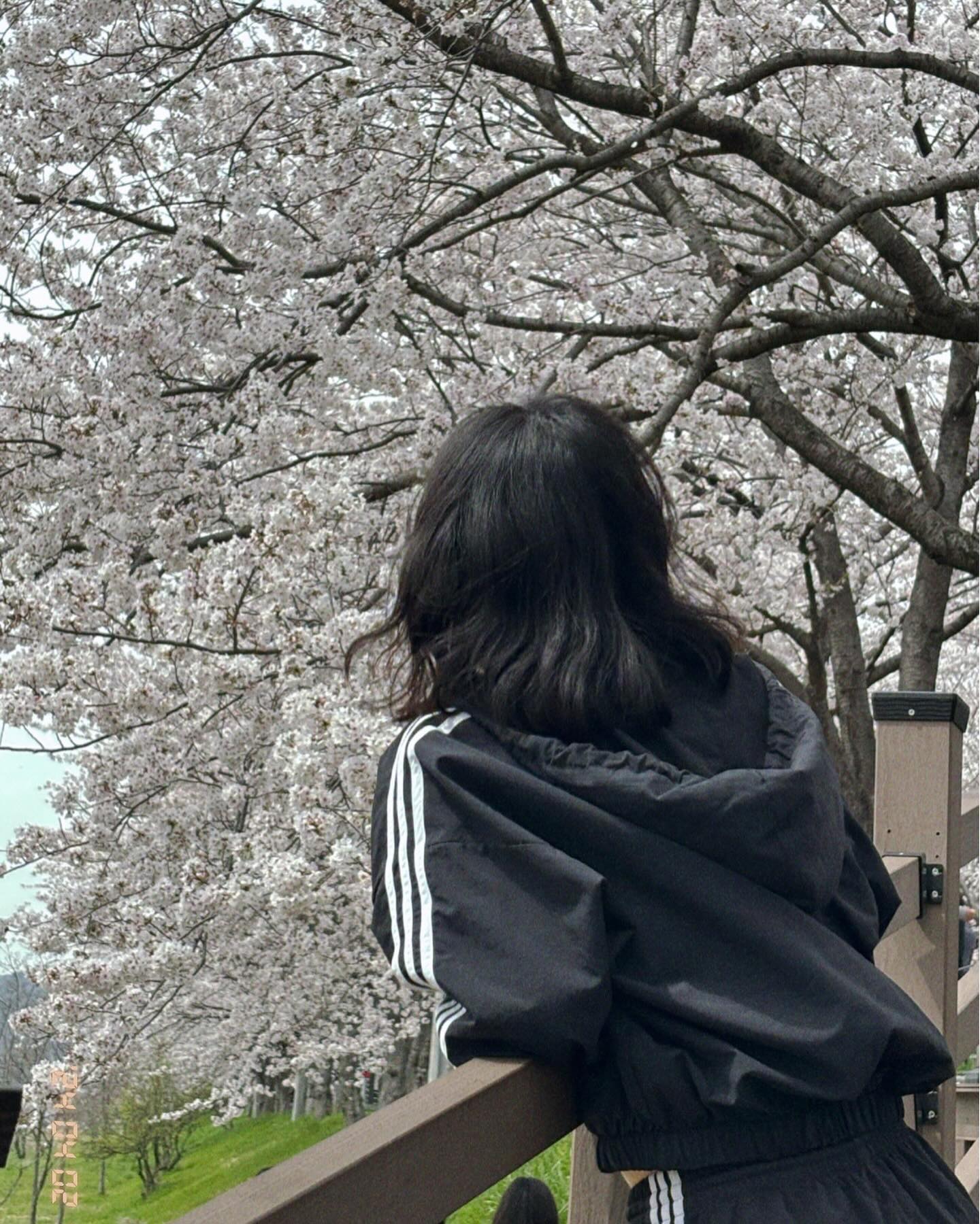 🐱🍣🍜🍙 봄르륵 ~ 봄르륵 🥟🍕🍺🏝️
