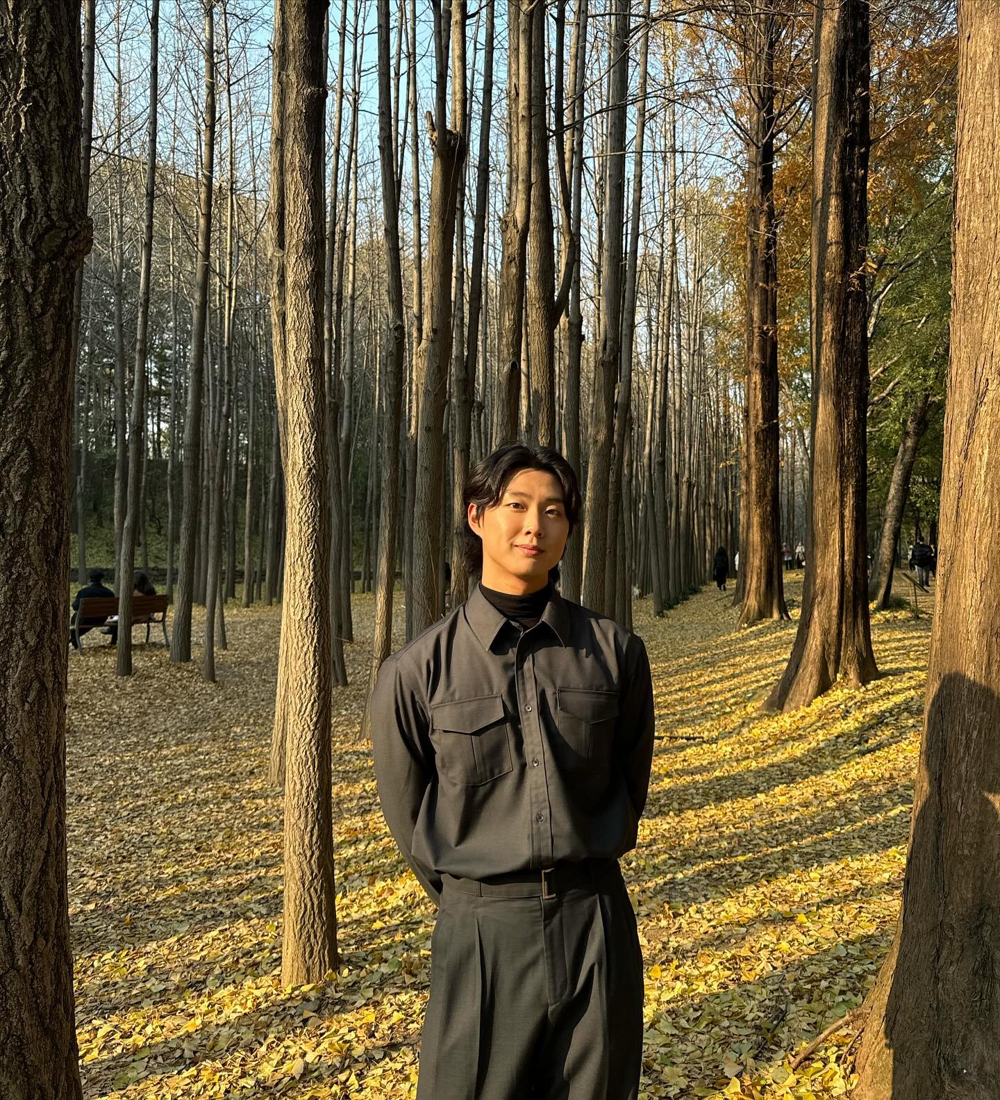 🌳