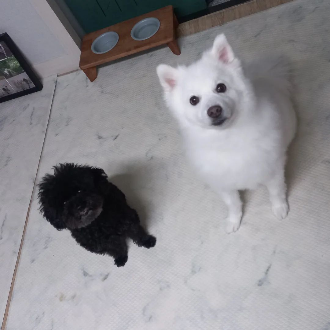 주말에 목욕해서 뽀송뽀송 🫧