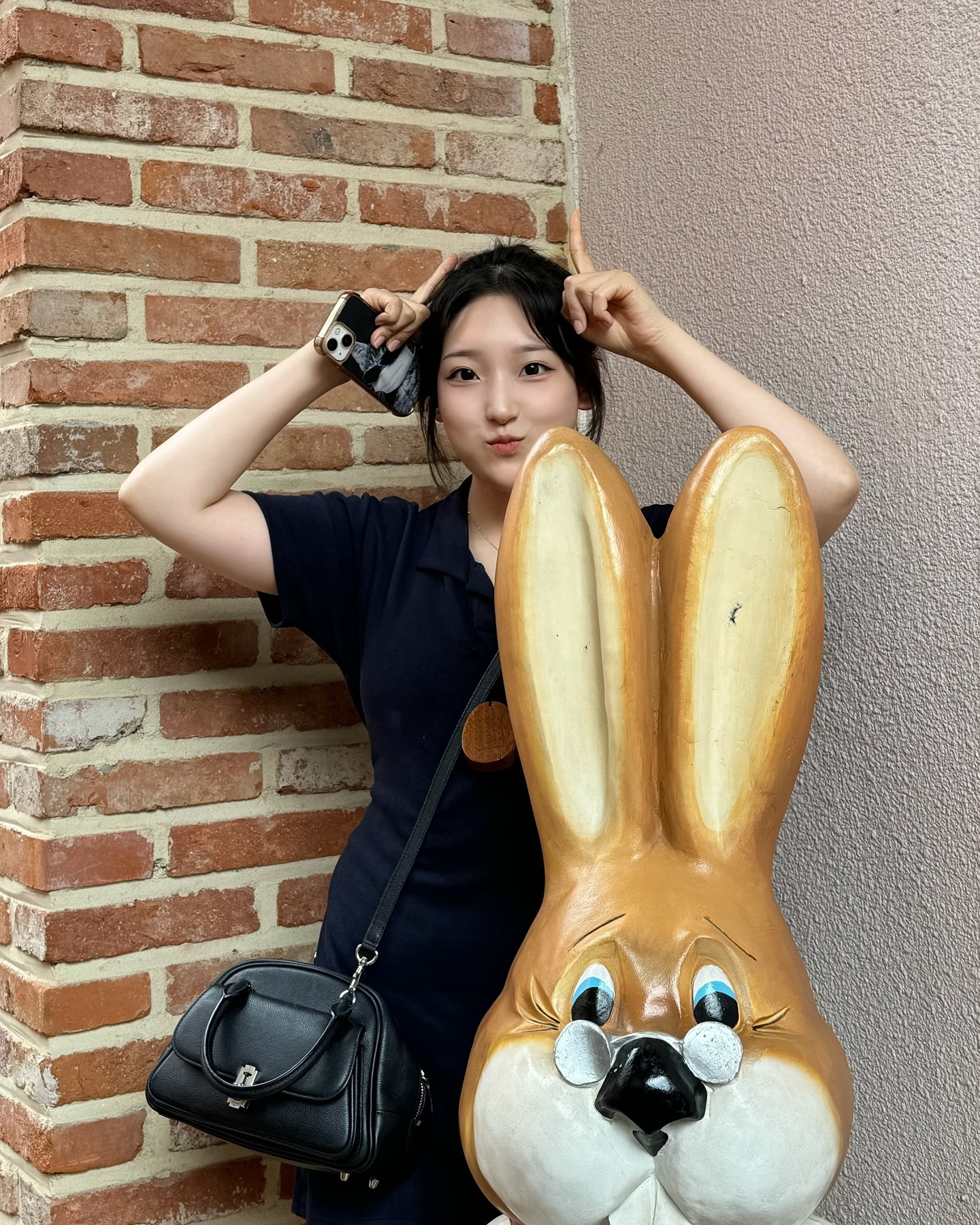 🐰