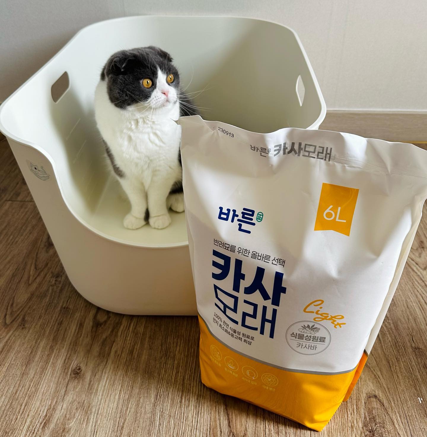 [협찬] 바른카사모래🫧
.
.
평소 벤토 + 카사바 조합으로 
모래를 사용하는 오둥이들. 

최근 카사바모래 수급 문제로 뭘 사용해야하나
고민 중에 바른카사모래를 사용해보게 되었는데 
기존에 사용하던 카사바모래보다는 조금 굵은 입자지만
먼지도 크게 느껴지지 않고 벤토와 섞었을 때 
잘 응고되서 마음에 쏙 들어요💟

✔️바른가격의 100% 브라질산 카사바
✔️평균 2.7mm입자 크기
✔️24단계 먼지 제거 공정
✔️강력응고 & 탈취
✔️100% 식물성 원료로 안심 사용 

당분간은 바른카사모래에 정착할 예정이에요🌻
aboutpet_official 

#어바웃펫 #고양이모래추천 #카사바모래 #고양이화장실