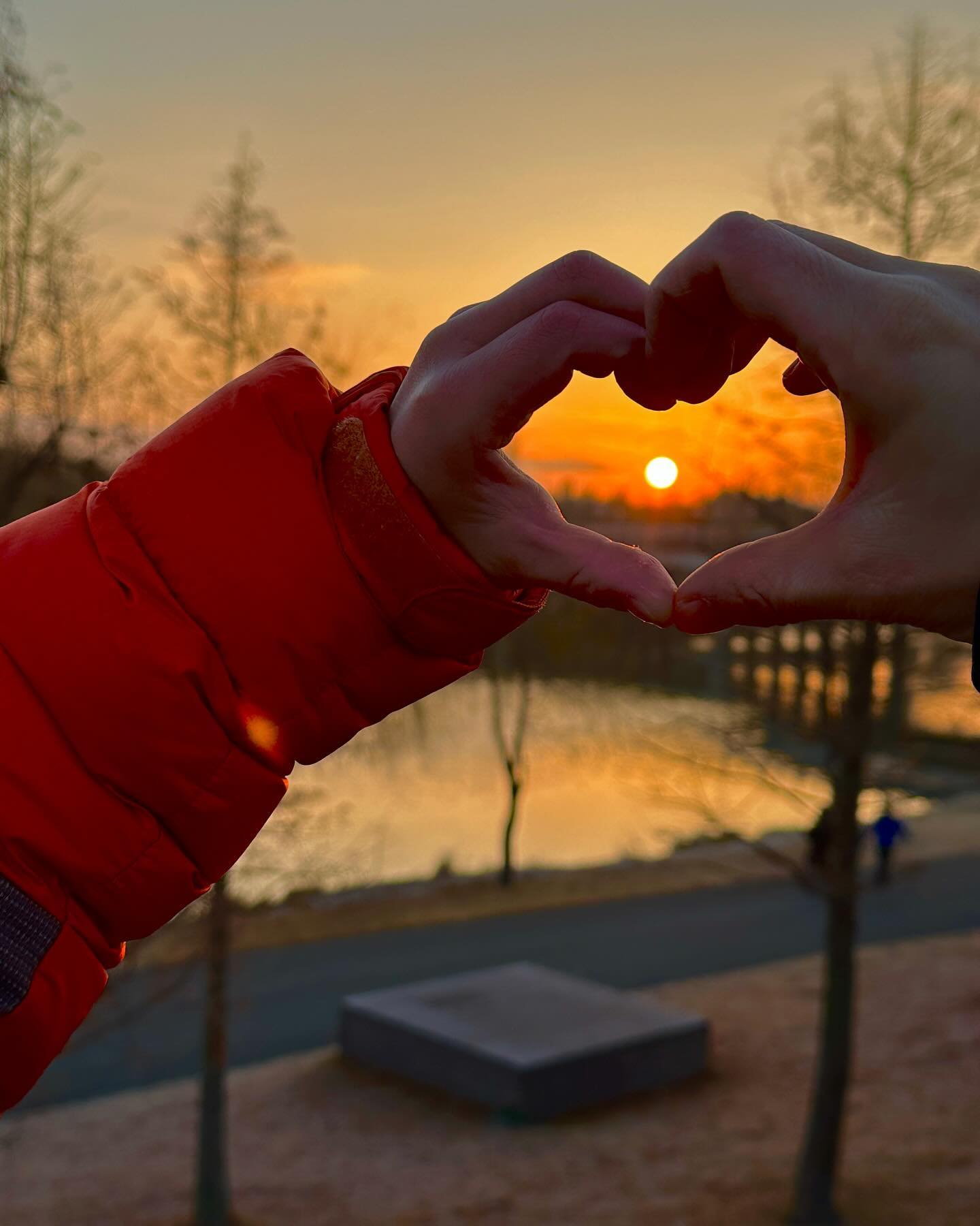 우리가족 
넷이서 같이 새해 본거 처음이라 더 기분좋은 2024 출발 🌅🫶🏻
.
.
딱 태극기 위에서 햇님 떠오르는데 온몸에 전율이 똬악~~~~~~🌅🌅🌅🇰🇷🌅🌅🌅🌅🌅🌅🌅🌅🌅🌅🌅🌅 🇰🇷
오빠말 듣고 자리 옮겼더니 
그자리에서 똭 햇님 떠오르기 무슨일이야 👍🏻🌅🌅🌅🌅
#새해 
#일출샷 
#일출