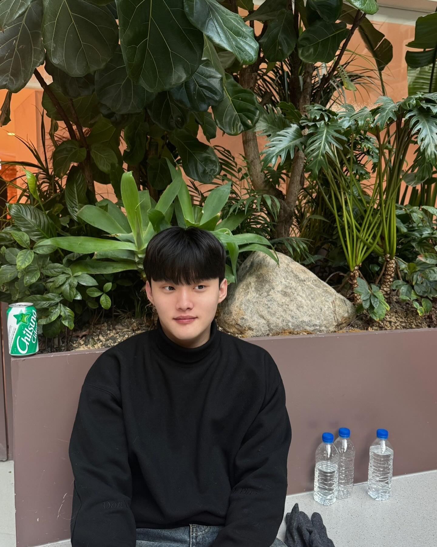 콘텐츠