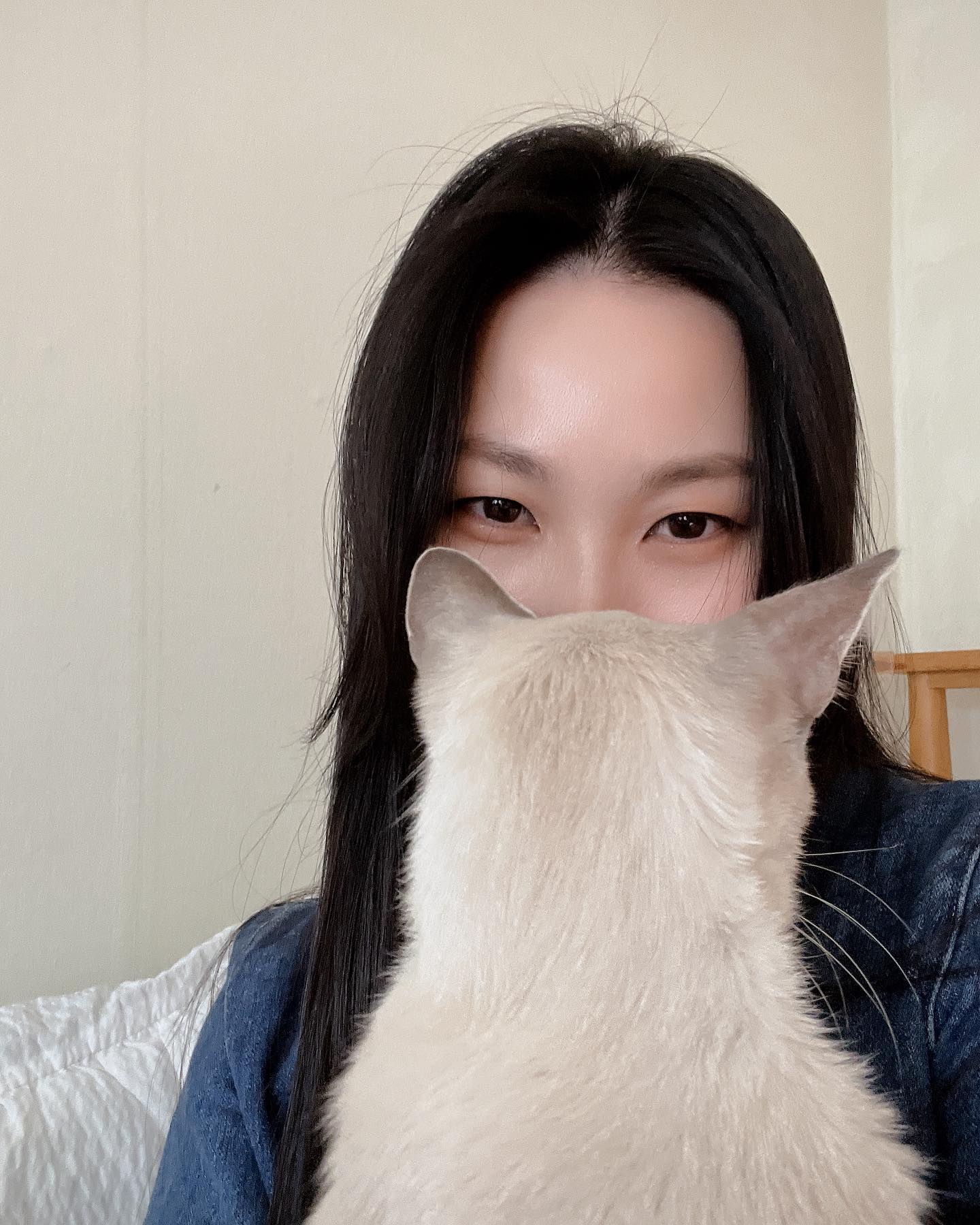 친구들이 다들 저랑 고양이 닮았다고 하던데 ㅋㅋㅋㅋㅋ
닮았나요? 😅

#cat #catlover #catlife