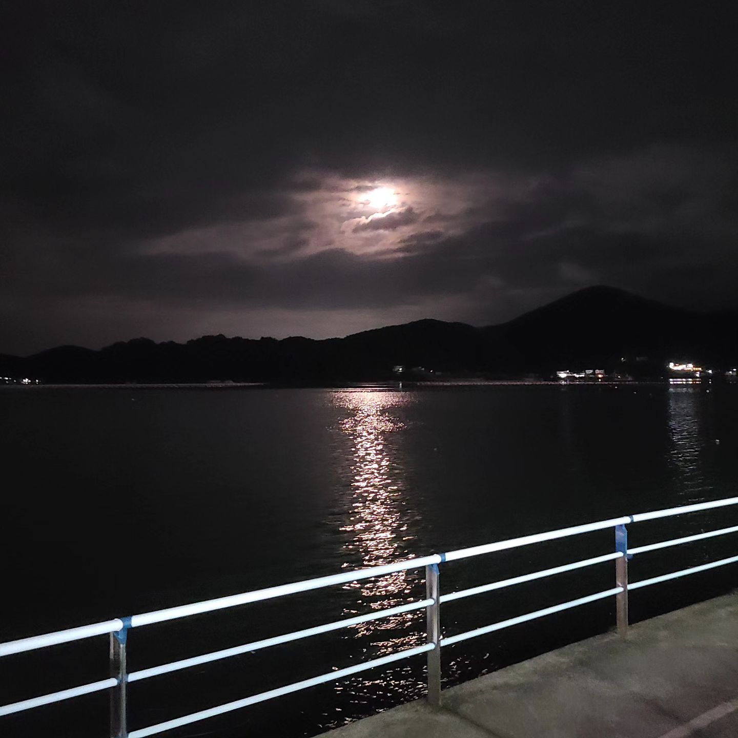 콘텐츠