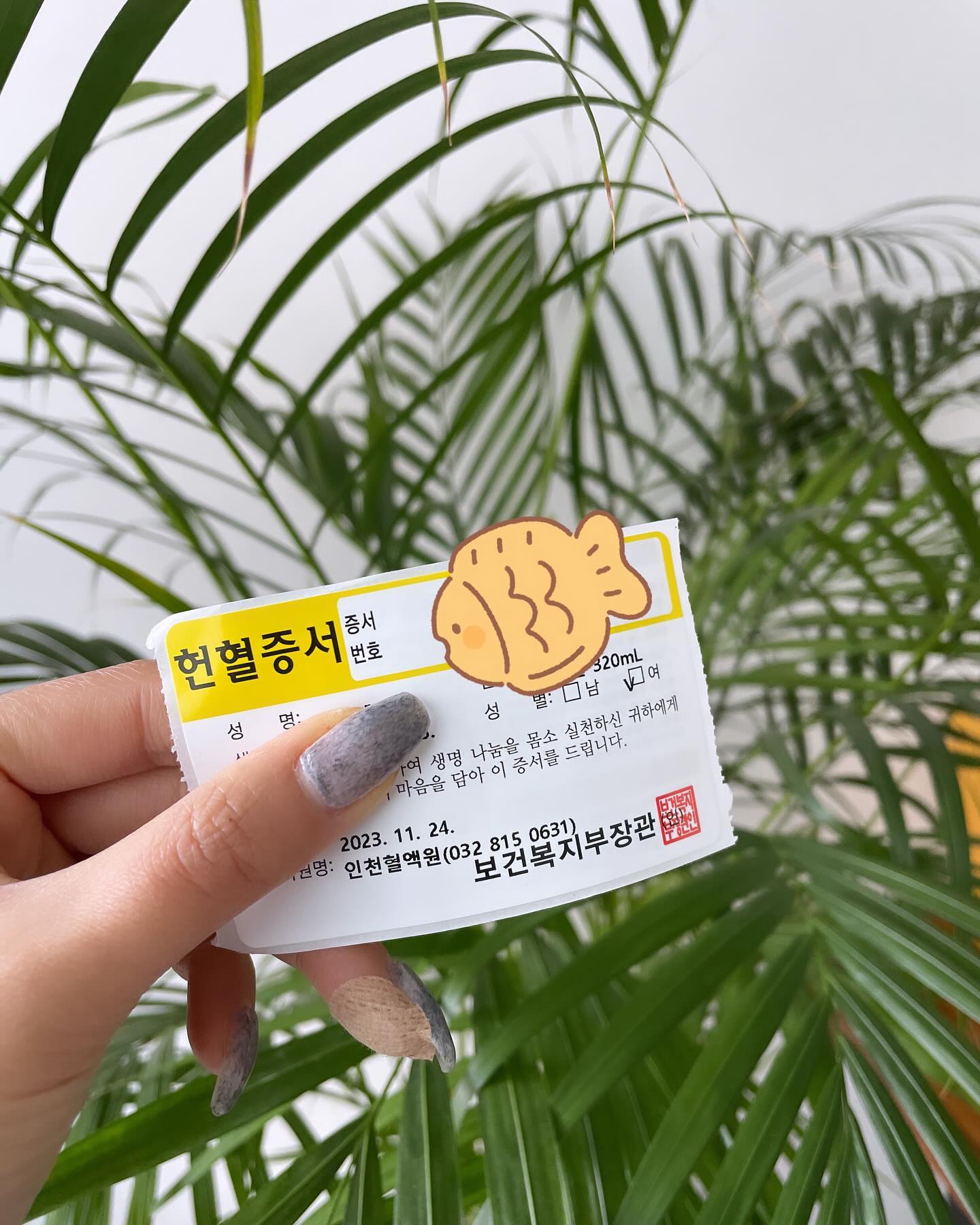 #금요일

나름 큰 마음 먹어야 갈 수 있는 헌혈의집🧸

살찌고 나서는 빈혈 증상이 없어져서 그릉가..
이제는 그냥 할 수 있다는게 좋으면서도 씁쓸합니다😅

#연말 #갬성 #헌혈의집 #잘먹고 #내년에도