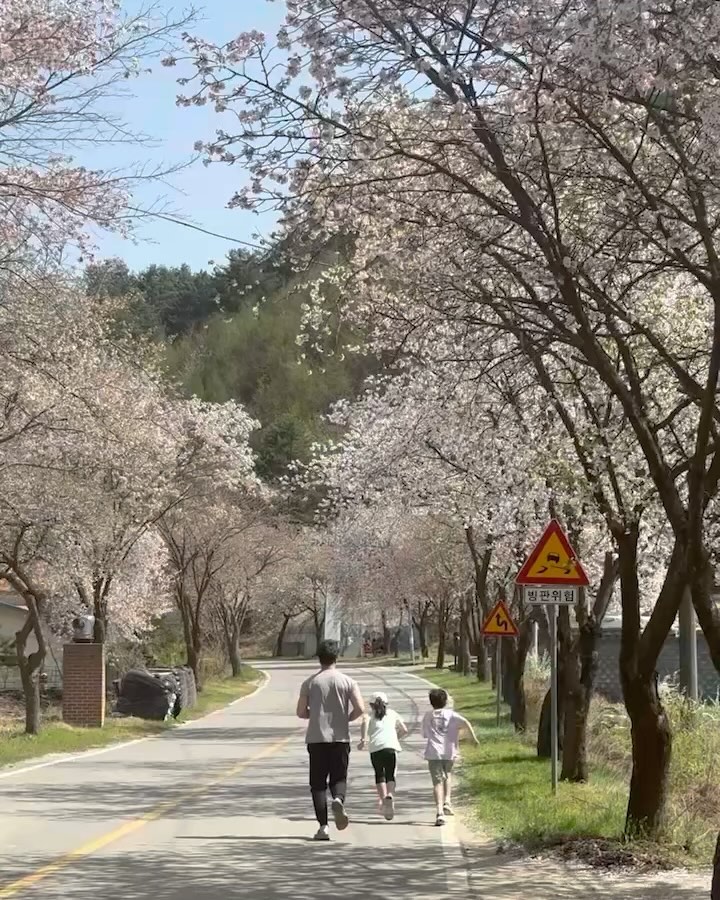 봄 캠핑 기록
아침에는 벚꽃과 봄을..낮에는 반팔이 필요한 여름 
저녁에는 불멍이 좋은 가을.. 밤에는 난로가 필요한 겨울 

4계절을 느낀 캠핑🏕️ 
옷도 후리스부터 반팔까지 다 챙겨야하니 짐도 늘고 
몸도 무거워지는 캠핑 🥲 그래도 캠핑하기 좋은 계절 

#봄캠핑#벚꽃캠#캠핑장주변이다벚꽃#아토네캠핑#초딩맘소통#초딩아들#아토네주말#짚라인러버#운동하자