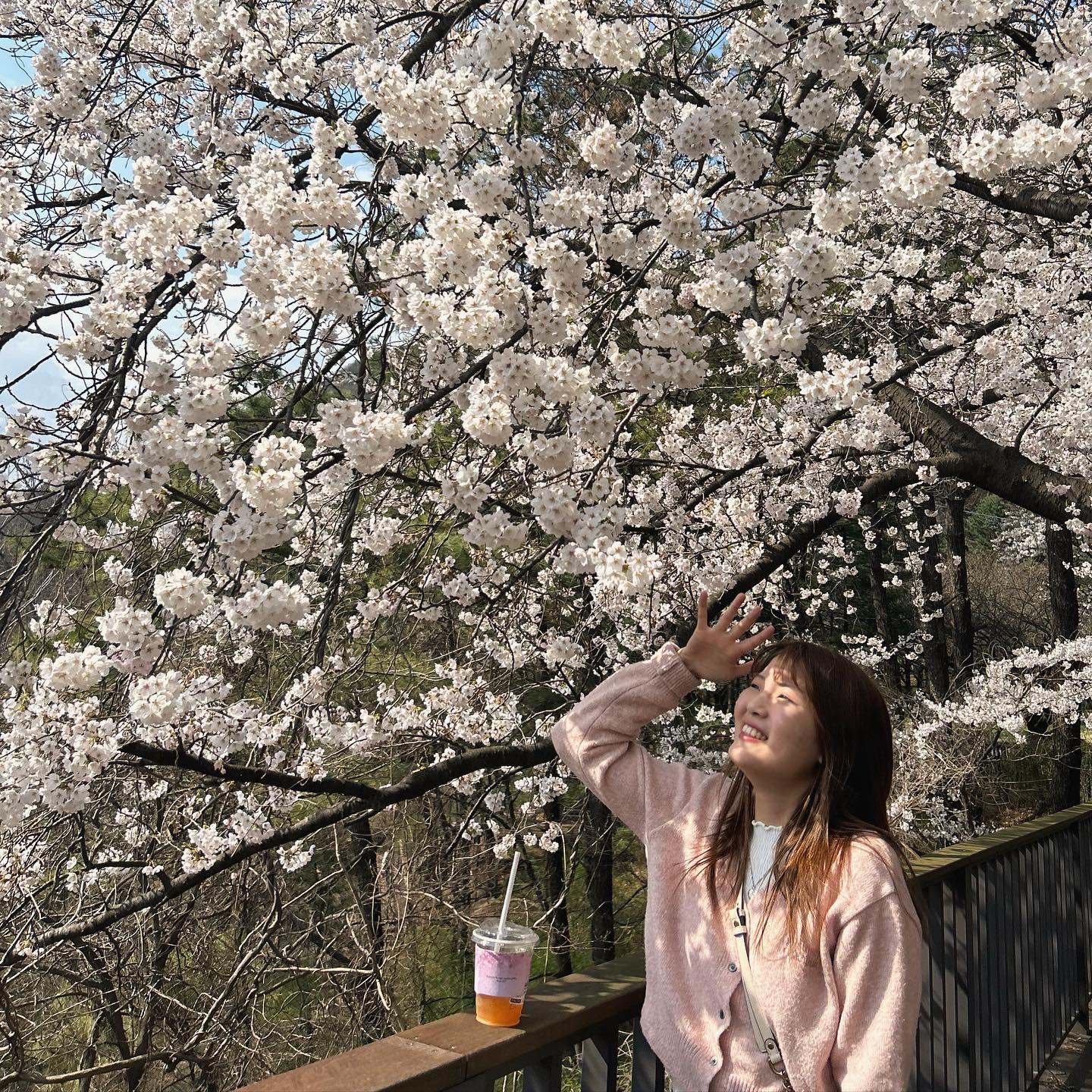 꽃송이가그래그래피었꾸나
