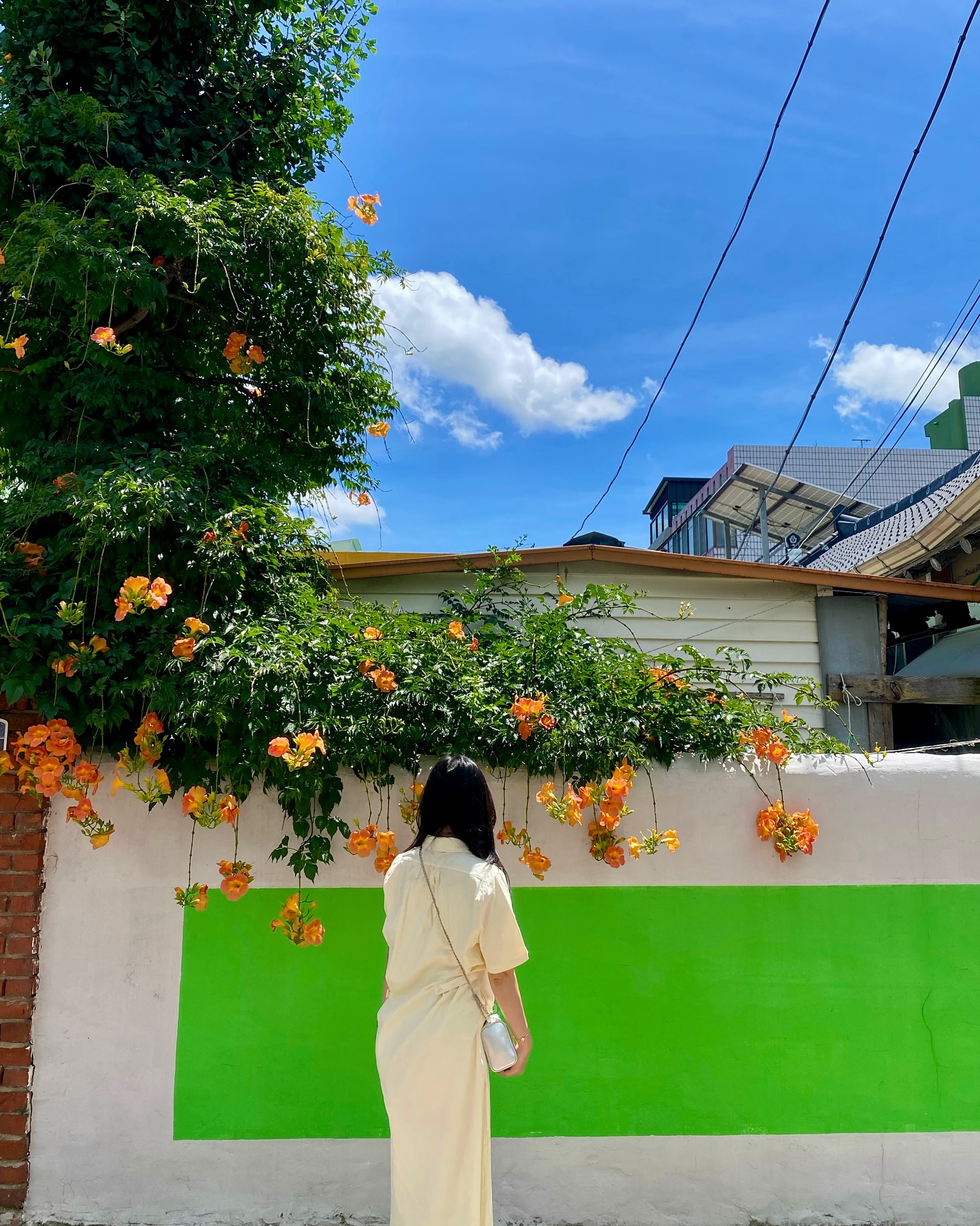 𖤣𖤥𖠿𖤣𖤥 💛🧡