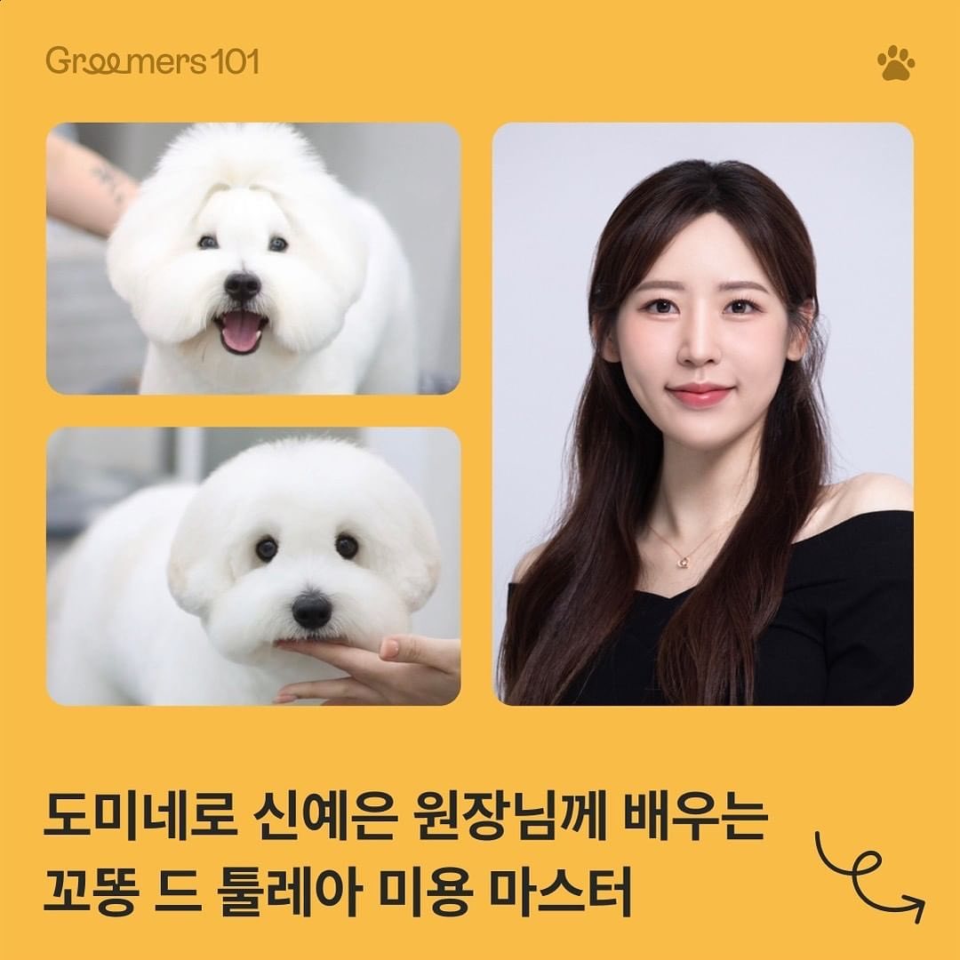꼬똥 드 툴레아 미용의 신, groomer_shin 신예은 원장님만의 눈 부위 커트 노하우부터 꼬똥 드 툴레아라는 견종만의 특색 있는 미용 방법까지 하루 만에 마스터 해보실까요?

이런 분들께 추천드려요! 
🪄가위컷 할 때 몸 길이 맞추기 어려우셨던 분들
🪄꼬똥 특유의 미간 넓어 보이는 눈 만들기 알고싶은 분들
🪄머리 묶을 때 찌글거리게 묶였던 분들
🪄다리가 짧아 보이게 미용하는 법을 알고 싶은 분들

일시 | 10월 20일(금) 12:00 ~ 17:00
장소 | 서울특별시 성동구 왕십리로 130 KCC 프리미어타워 10층 (주차는 인근 유료주차장을 이용해 주세요.)
정원 | 선착순 오프라인 50명
- 포들리 파트너스를 사용하고 계시는 분들 선착순 정원 20명
- 포들리 파트너스 신규 가입자 선착순 정원 30명
비용 | 8만원 (정가 15만원 → 포들리 파트너스 가입하시면 할인된 가격 8만원)
기존 파트너 : 무료✨(예약금 8만원, 자세한 내용은 신청서 확인 부탁드려요)
신청 기간 | 2023.09.22~2023.10.13

🎤신청 방법 
1) 카카오톡 채널에서 [포들리 파트너스]를 검색해 주세요
2) 채널 친구 추가후, 채팅창 리스트를 통해 세미나 신청을 해주세요.
3)포들리 파트너스를 사용하고 계신 분들은 “🥇사용중 파트너 세미나 신청하기” 신청해 주세요.
4)신규 가입자분들은 “🥇신규 파트너 세미나 신청하기“를 통해 신청해 주시면 됩니다. 

🎤신청 확인 
1) 세미나 신청서와 입금확인 후, 담당자가 1~2일 이내로 신청 확인 문자 메세지를 개별로 보내드립니다.
(9/26~10/3)에 신청해 주시는 분들은 신청 확인이 어려워, 추석이 끝난 후 순차적으로 확인 도와드리겠습니다.

문의사항 : 카카오톡 채널 [포들리 파트너스]