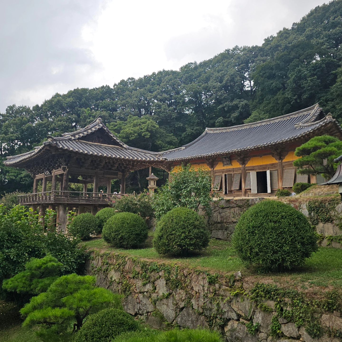 #제작지원

경북 영주여행에서 만나고온 부석사
유네스코 지정 세계유산으로
걸어가는길 하나도 놓칠 수 없어요 ^^

신라 문무왕 16년(676년)의상대사가 창건
천년의 세월을 느낄 수 있는 아름다운곳으로
부석사 무량수전은 전통 목조구조 기술로
우리나라 목조건물 중 가장 아름다운건물!!
무량수전 아래로 펼쳐지는 그림같은 풍경이
저절로 감탄과 위로를 받는것같아요

#영주여행 #영주가볼만한곳
#중부내륙여행지 #영주갈만한곳
#부석사 #무량수전
#경북영주여행 #경북영주가볼만한곳 
#국내여행 #영주당일여행