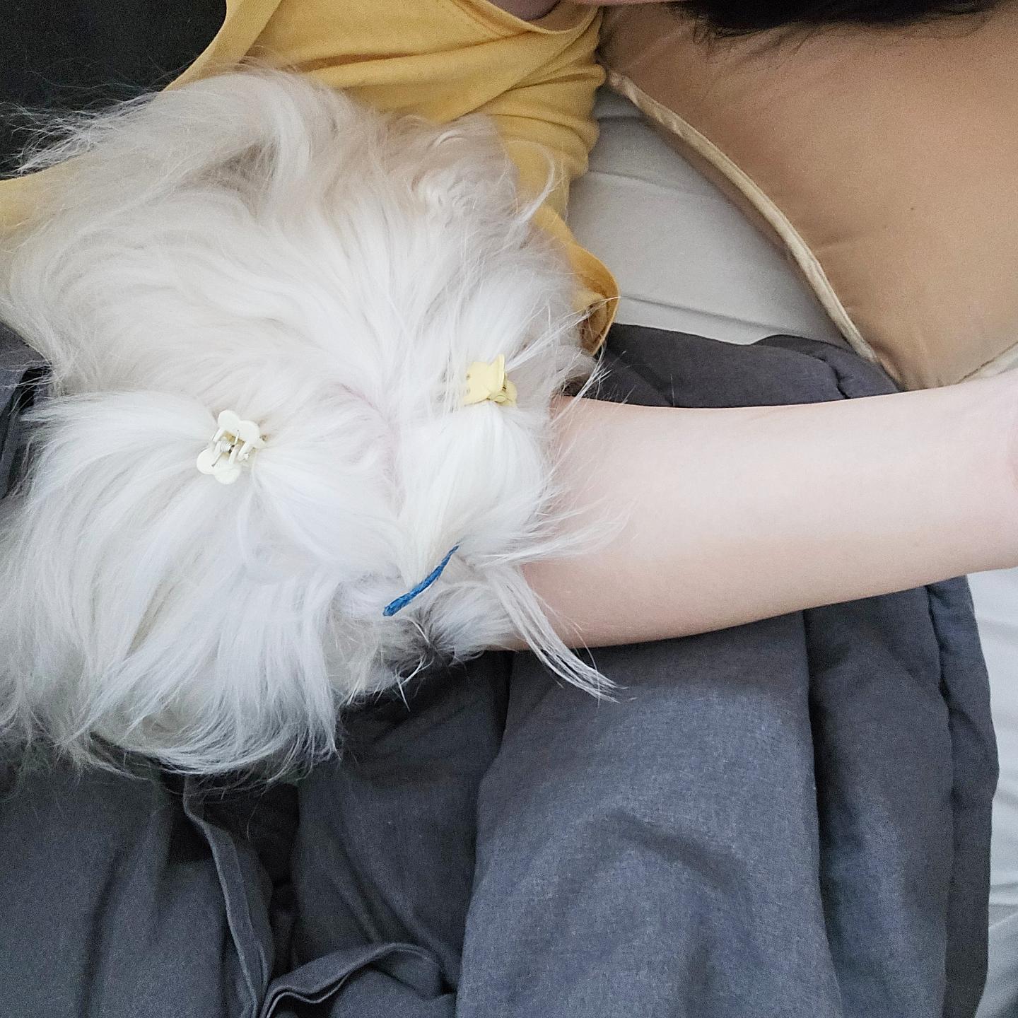 쿨 zz 깨우지마