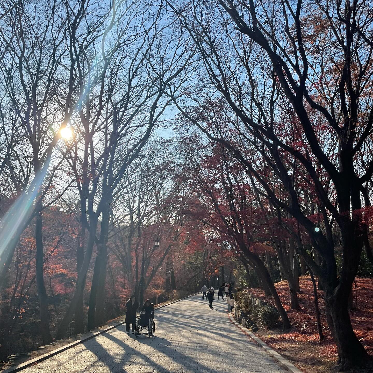 가을의 끝자락 🍂