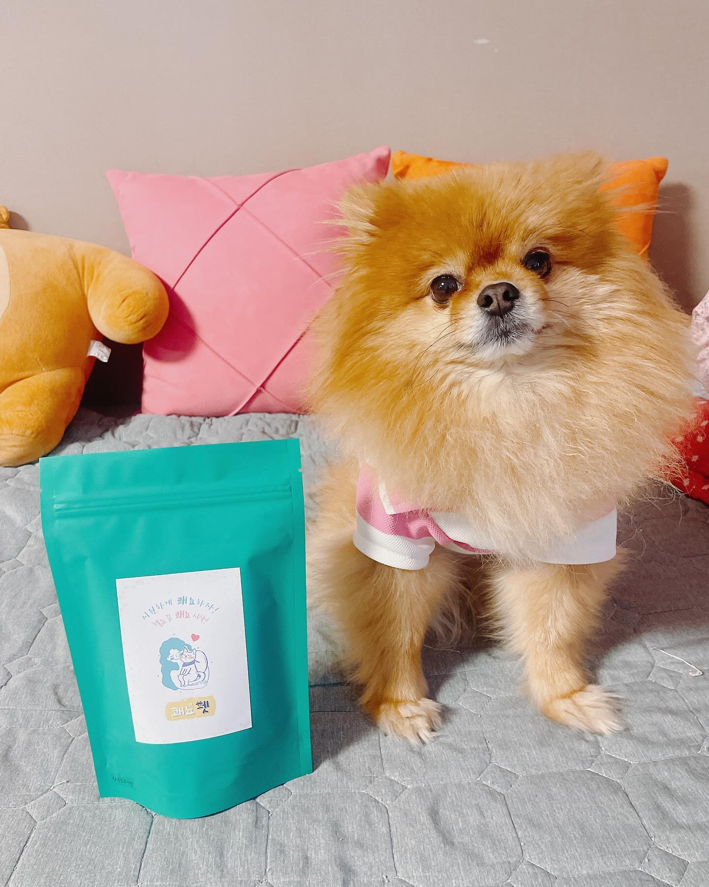 안뇽 댕칭구들😍
오늘은 화장실을 자주 들락날락하고 
평소 요로계 질환을 겪고있는 댕댕이들을 위해 
쾌뇨펫 소개할게💛

쾌뇨펫은 방광염과 결석 전문 수제영양제로
요로계질환으로 힘들어하는 아이들을 위해 만들어졌고

💡재발관리를 위해 장기복용이 가능
💡부산물, 방부제, 색소, 향료, 합성첨가물 등
불필요한 성분이 없어 믿고 급여할 수 있음
💡크랜베리, 포공영민들레, 아스파라거스, 프락토올리고당, 
팥, 연근, 호박 등 요로계에 좋은 식재료들로 구성
💡기호성이 좋아 단독급여나 사료, 간식 등에 뿌려 급여가능
💡치킨맛, 황태맛, 참치맛, 연어전복맛, 한우소고기맛 
5가지 다양한 맛 골라먹기 가능

이러한 특징을 가지고 있어❤️

평상시 소변볼 때 문제가 있거나 혈뇨를 보거나 
방광염이나 결석이 자주 재발하는 댕댕이들은 
쾌뇨펫으로 꾸준히 관리하자구🫶

#업체로부터제공받은제품입니다 #강아지영양제 #수제간식 
#애견수제간식 #강아지결석 #강아지방광염 #쾌뇨펫