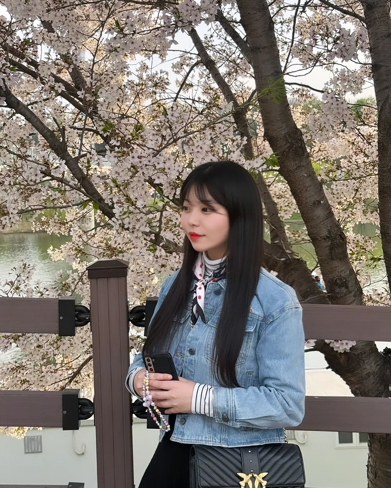 봄바람 살-랑🌸
.
.
.
#아양교벚꽃길 #벚꽃스타그램 #벚꽃길 #아양교벚꽃터널 #벚꽃구경 #벚꽃축제  #벚꽃스타그램 #봄바람 #동촌유원지 #동촌유원지벚꽃 #데이트 #피크닉 #소풍 #벚꽃놀이 #벚꽃명소 #벚꽃🌸 #주말데이트