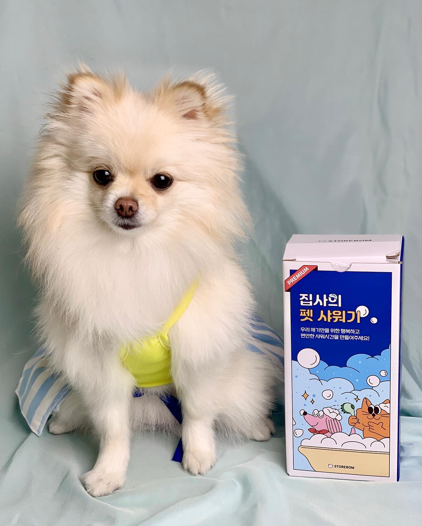 #스토어봄 집사의 펫 샤워기 보리가 사용해봤어요🚿

🫧스위치로 on / off 기능이 있어 원터치로 물조절이 가능해 간편하기도 하고 물도 절약할 수 있어 너무 좋았어요!
🫧샤워기에 실리콘으로 된 빗도 함께 내장되어있어 죽은 털이나 엉킨 털도 풀 수 있어 아주👍
🫧미국 NSF에서 인증받은 세디먼트 필어 샤워기로 녹이나 이물질 제거해 깨끗하고 안전하게 샤워 가능🛀

특히 버튼으로 조절할 수 있어서 너무 좋았어요! 보리도 빨리 샤워할 수 있어 스트레스 그나마 덜 받을 거 같아 추천해요☺️

알!아서 잘! 딱! 깔!끔하고 센!스있게 목욕할 수 있는 샤워기를 찾는다면 바로 스토어 봄으로 달려가자고!
구매는👉 store_bom