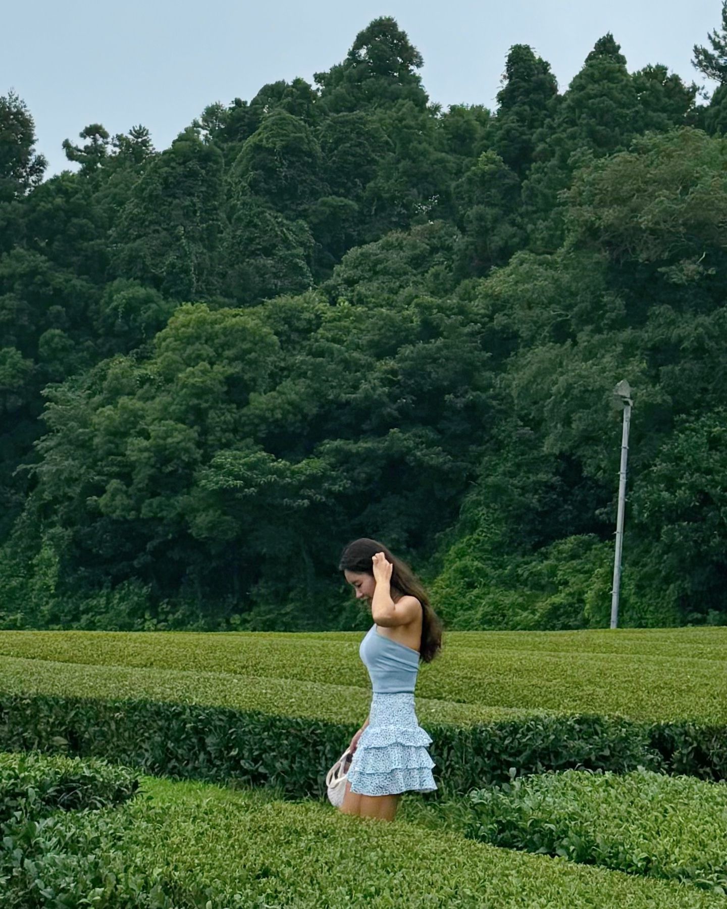 3초 같았던 제주 💚

#오설록 #오라디오라 #애플망고1947 #제주망고집 #더비치크랩 
#제주카페 #제주맛집