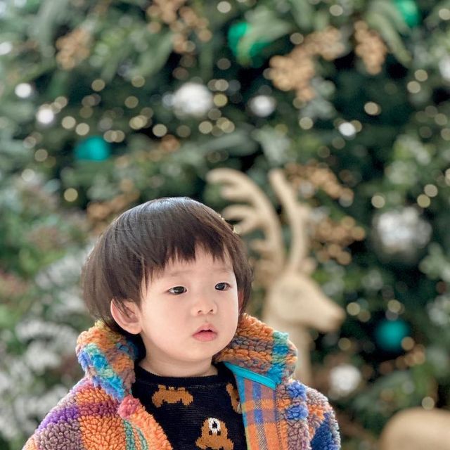 무무, 심이준, 시미준 🧸 on Instagram: "🎄🦌

새로 산 꼬까옷 입고 
크리스마스 포토존에 앉아 사진 찍기!

정작 이준이는 멍 😦

#시미준 #시미준_ootd #시미준_여행"