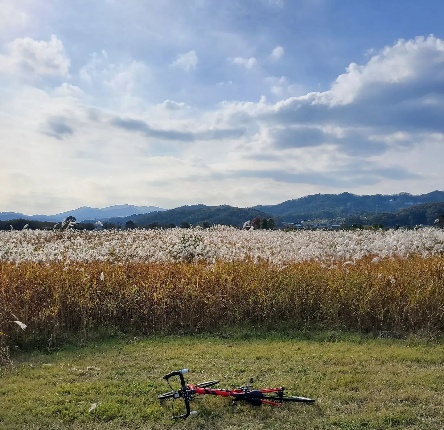 얼마만인지도 모르겠고 일단 나가고보는 사람 🚴‍♀️
근데 출발부터 클릿이 이렇게 어색할 일인가
Magped탓일거야....🤣🤣🤣 성장없는 자린이 🤣
근데 불과 어제 자전거 재미없다했는데
막상타니까 기분좋아 킹받게!!!
근데 왜케 힘들고 숨차😵 당연한건가
근데 저 바막 벗으면 좀 덜 힘들긴함 🤣
기왕 타는 김에 핑크라이더슨가 뭔가 해본다!
근데 죠기 카페 이포보 뷰에 아주 좋은데 
갈때마다 내가 전세냄 몇번 갔는데 이름은 모르는게 함정
근데 이럴거면 앞머리 왜내림 뚜껑쓰 쓰면 청학동인데...
갈대가 가을가을한게 추녀 등극이다🍂🦑
그럼 이만 쫑알쫑알 근데 6번에 끝나는 라이딩 일기 끝

#핑크라이더스챌린지 #유방암 #라이딩 #자린이