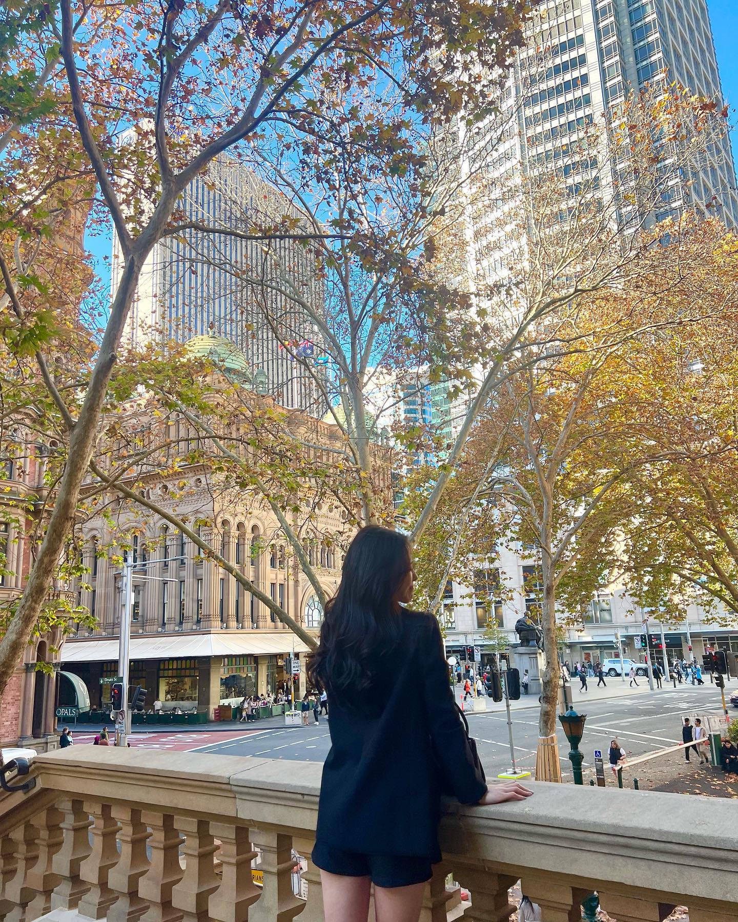 Autumn Breeze 🍁🍂