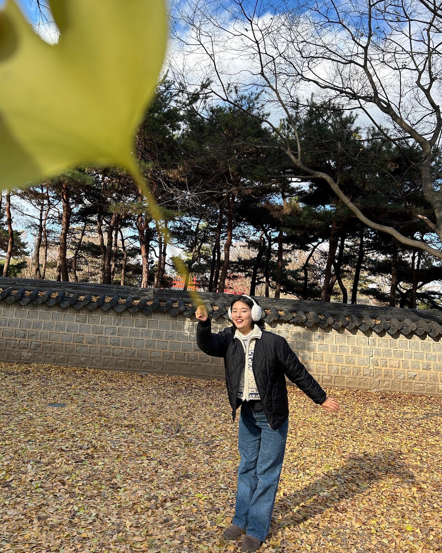 전주여행 🍁🍂
일하러와서 야무지게 즐기기 
.
.
.
.
.
.
.
.
.
#단풍 #전주 #전주경기전 #조점례남문피순대 #탕후루 #젤라또 #막이오름 #여행 #국내여행 #대왕단풍 #대왕단풍샷