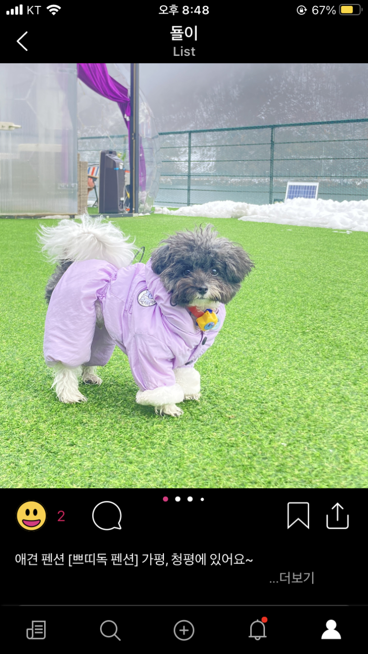 맛집 공유하고 돈버는 신상 앱테크 어플 [브리핑 vriping] 사용해본 후기, 사용 방법(아이폰 iOS)