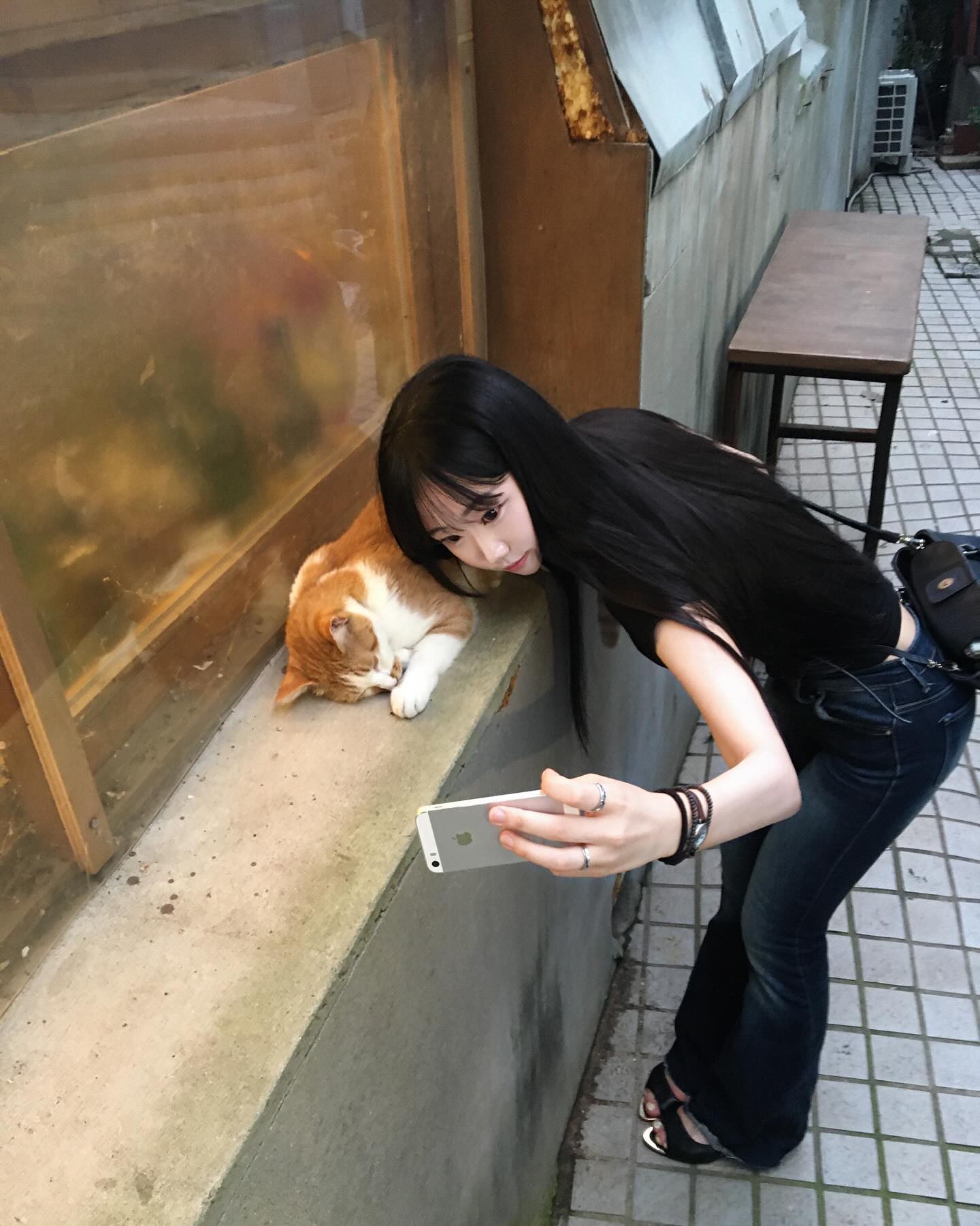 콘텐츠