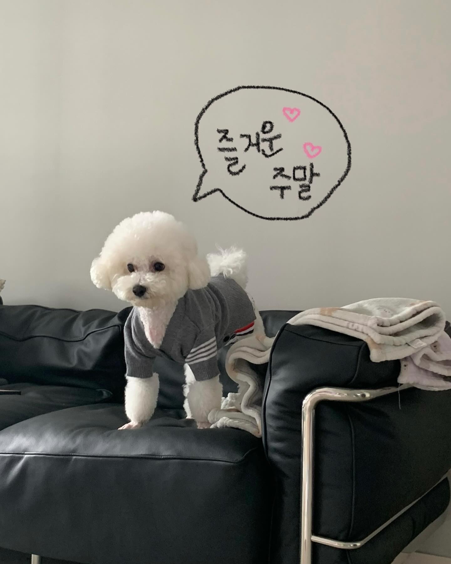 20장 꽉꽉채운 즐거운 주말 😛