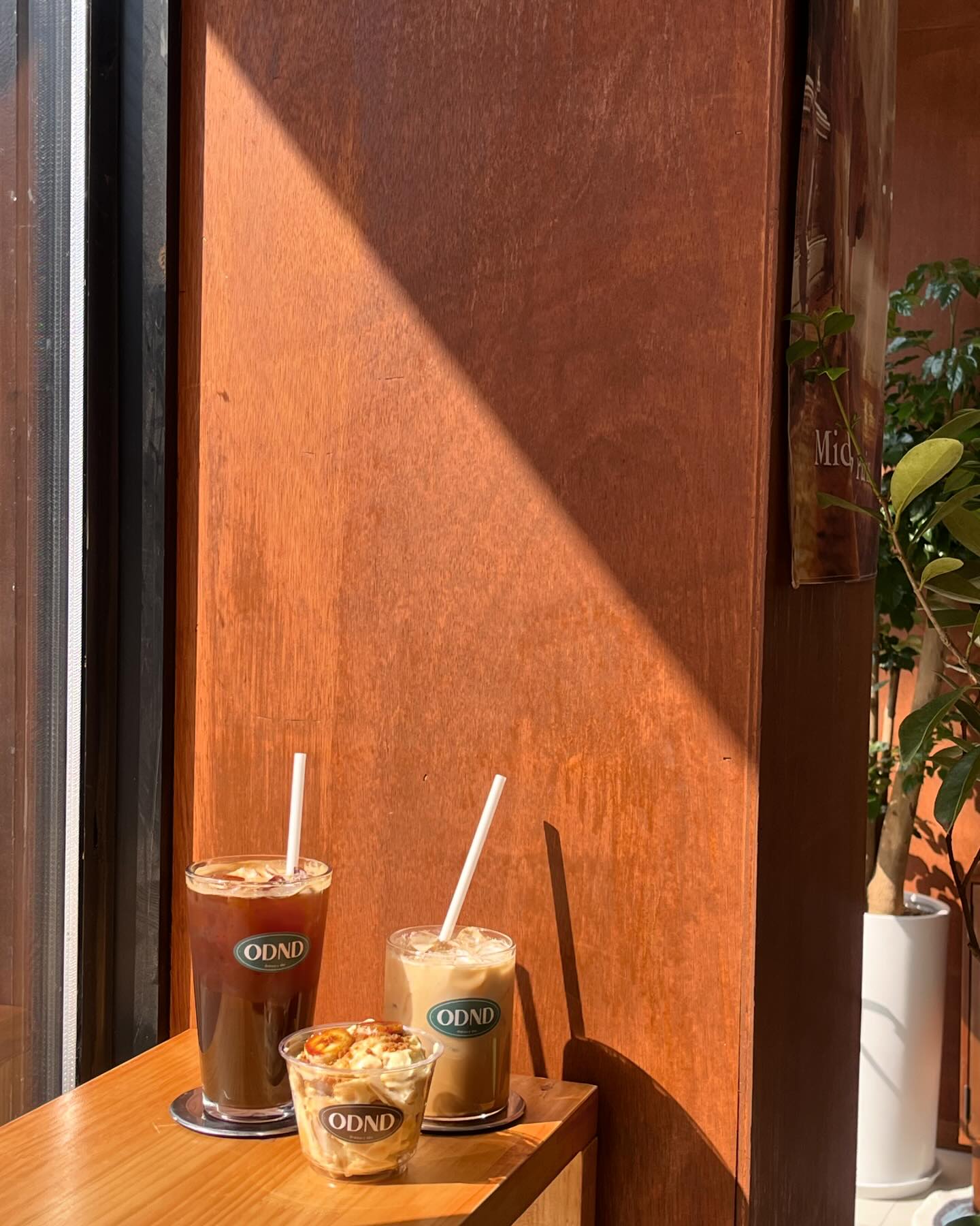 🧡🍀🧡