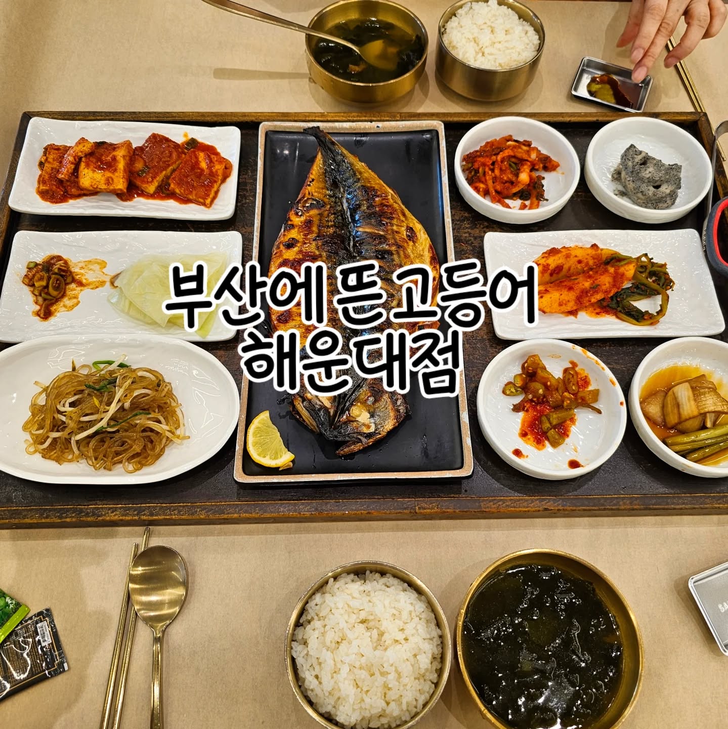 엄마랑 저는 고등어구이를 참좋아하는거같아요 ㅋㅋㅋㅋ
아무래도 집에서는 생선꾸워먹기 힘드니까 밖에서 더 찾게되는듯한🤣
요즘 브레이크타임있는 밥집들이 대부분인데 이곳은!!!!! 브레이크타임이 없습니다👏👏👏
그래서 아무시간대나 방문해도 좋고요
내부가 매우매우 넓고 청결해요
반찬들도 뷔폐식이라 부족하면 더 드셔도 되고 일단 손맛들 최고입니다👍
가격도 비싸지않고 고등어 외에 다른 생선 약2~3종류를 주문할수있는곳이에요
다들 해운대가신다면 갈만한 밥집추천드려요🥰🥰