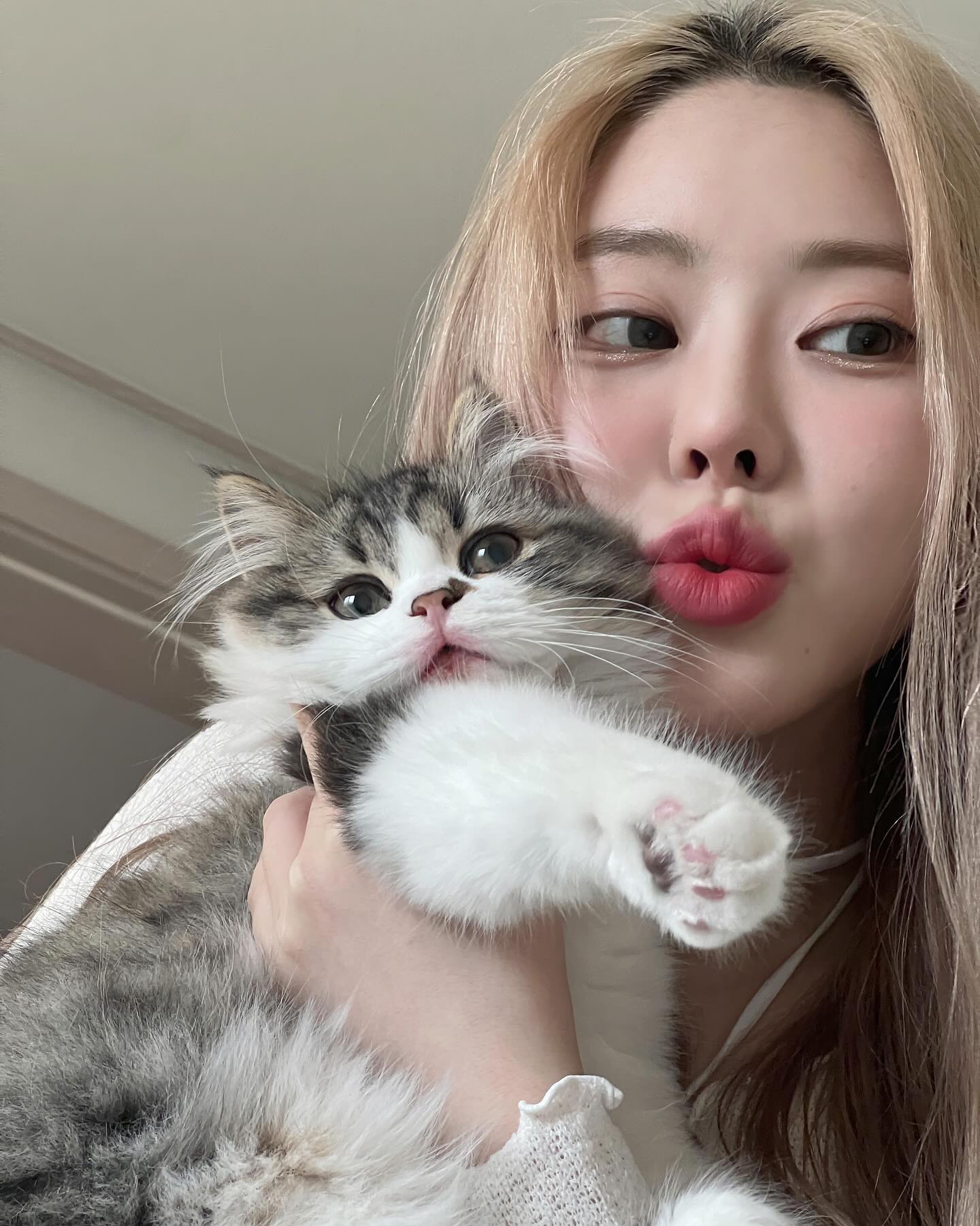 쿠키 어릴때 회상중 🎀