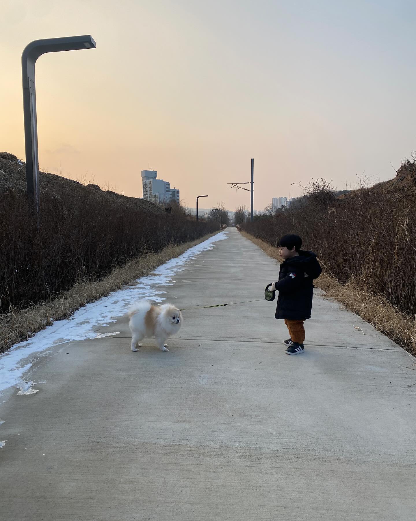 우오네랑 산책하는중 🥲 
콧물찔끔 . 
두돌쟁이 + 5년차견생 
ooooo_raho