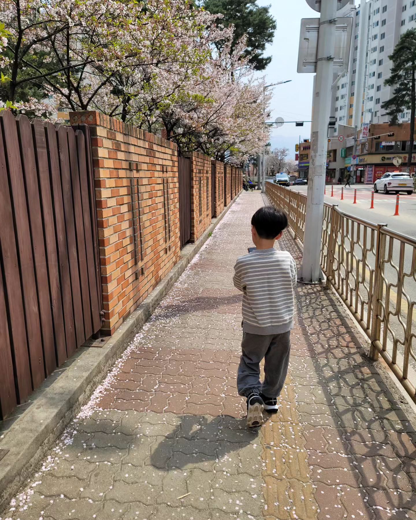 #선거날 아들이랑 집앞 병원 다녀오면서 
사진 찍고보니 새삼 많이 컸다는걸 또한번 느꼈네
엄마 물리치료하는 시간 동안 옆침대에 누워서 얌전히 기다려준 이쁜아들♡ 간호사샘들이 이쁘다고 사탕에 과자에 챙겨주고
같이 포켓몬 대화도 하고...^^

요즘 너~~~~어~~~~무 힘들다
나이탓인가? 기분탓인가? 지치고 지치고 또 지치고 계속 지치는 요즘!! 그래도 요녀석보며 하루하루 힘내본다

#내삶의원동력 #초딩오빠 #나에게는그저애기